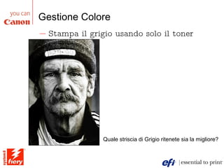 Gestione Colore Stampa il grigio usando solo il toner Nero Quale striscia di Grigio ritenete sia la migliore? 