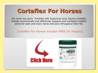 Cortaflex For Horses Cortaflex For Horses  includes FREE UK shipping It’s never too soon!  Fortified with Hyaluronic Acid, Equine Cortaflex Powder economically and effectively supports and maintains healthy joints for each and every horse and pony throughout their life. 