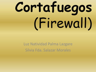 Cortafuegos
   (Firewall)
 Luz Natividad Palma Lazgare
  Silvia Fda. Salazar Morales
 