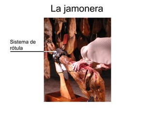 La jamonera
Sistema de
rótula
 