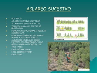 ACLAREO SUCESIVO

    DOS TIPOS:
1.   ACLAREO SUCESIVO UNIFORME
2.   ACLAREO SUCESIVO POR FAJAS
    TAMBIÉN LLAMADAS CORTAS DE
     PROTECCIÓN
    FORMA PRINCIPAL DE MASA: REGULAR,
     SEMIREGULAR.
    FORMA FUNDAMENTAL DE LA MASA:
     MONTE ALTO O MONTE BAJO.
    SUELEN SER APLICADOS SOBRE
     ESPECIES CON TEMPERAMENTO DE
     MEDIA SOMBRA O DE MEDIA LUZ.
    TRES FASES:
1.   FASE PREPARATORIA:
2.   FASE DISEMINATORIA
3.   FASE FINAL
 