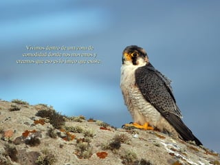 Vivimos dentro de una zona de comodidad donde nos movemos y creemos que eso es lo único que existe.  