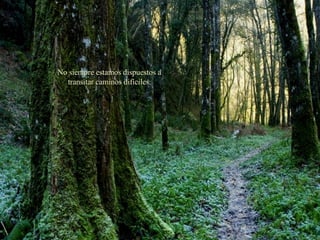 No siempre estamos dispuestos a transitar caminos difíciles. 