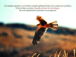 A la mañana siguiente, vio al halcón volando ágilmente frente a las ventanas de su palacio.  El rey le dijo a su corte,  Traedme al autor de este milagro .  Su corte rápidamente le presentó a un campesino. A la mañana siguiente, vio al halcón volando ágilmente frente a las ventanas de su palacio.  El rey le dijo a su corte,  Traedme al autor de este milagro .  Su corte rápidamente le presentó a un campesino. 