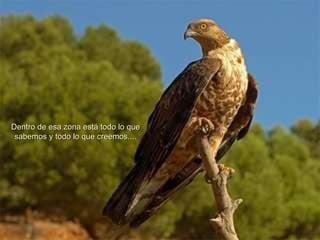 Dentro de esa zona está todo lo que sabemos y todo lo que creemos. ... 