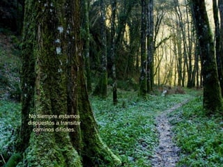 No siempre estamos dispuestos a transitar caminos difíciles. 