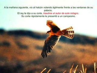 A la mañana siguiente, vio al halcón volando ágilmente frente a las ventanas de su palacio.  El rey le dijo a su corte,  Traedme al autor de este milagro .  Su corte rápidamente le presentó a un campesino. A la mañana siguiente, vio al halcón volando ágilmente frente a las ventanas de su palacio.  El rey le dijo a su corte,  traedme al autor de este milagro .  Su corte rápidamente le presentó a un campesino. 