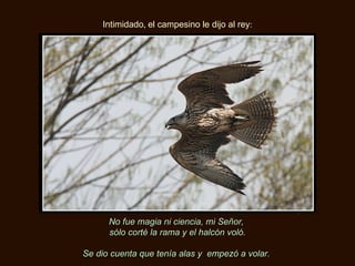 Intimidado ,  el campesino le dijo al rey : No fue magia ni ciencia, mi Señor,  sólo corté la rama y el halcón voló. Se dio cuenta que tenía alas y  empezó a volar.  