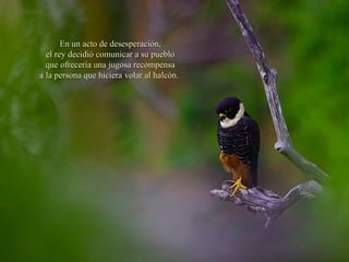 En un acto de desesperación,En un acto de desesperación,
el rey decidió comunicar a su puebloel rey decidió comunicar a su pueblo
que ofrecería una jugosa recompensaque ofrecería una jugosa recompensa
a la persona que hiciera volar al halcón.a la persona que hiciera volar al halcón.
 