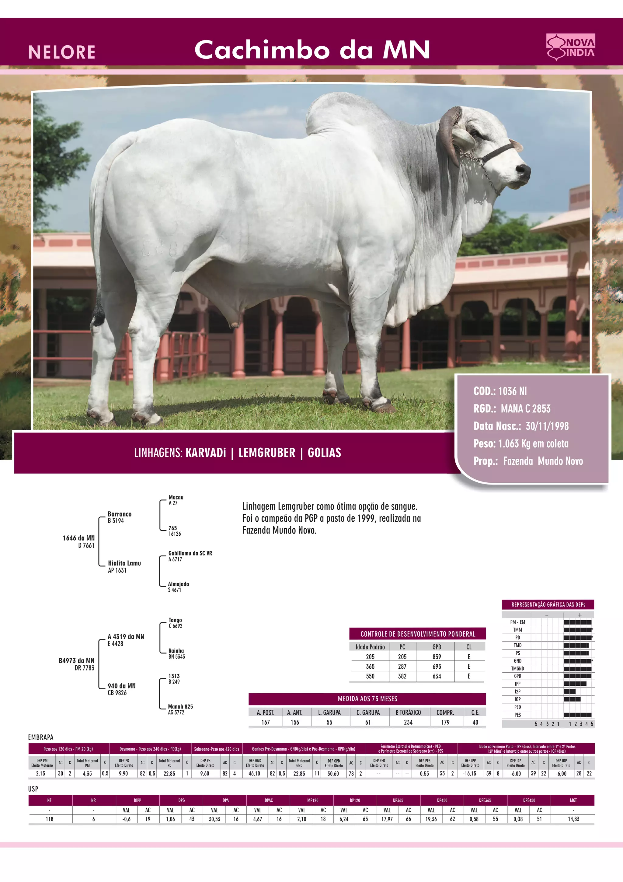 Catalogo de raçadores para corte 2009