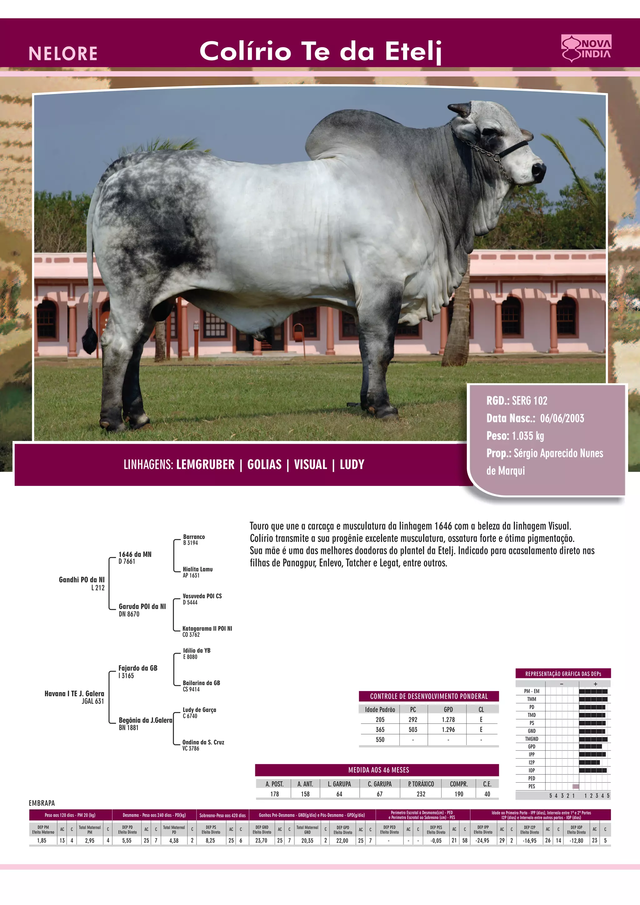 Catalogo de raçadores para corte 2009