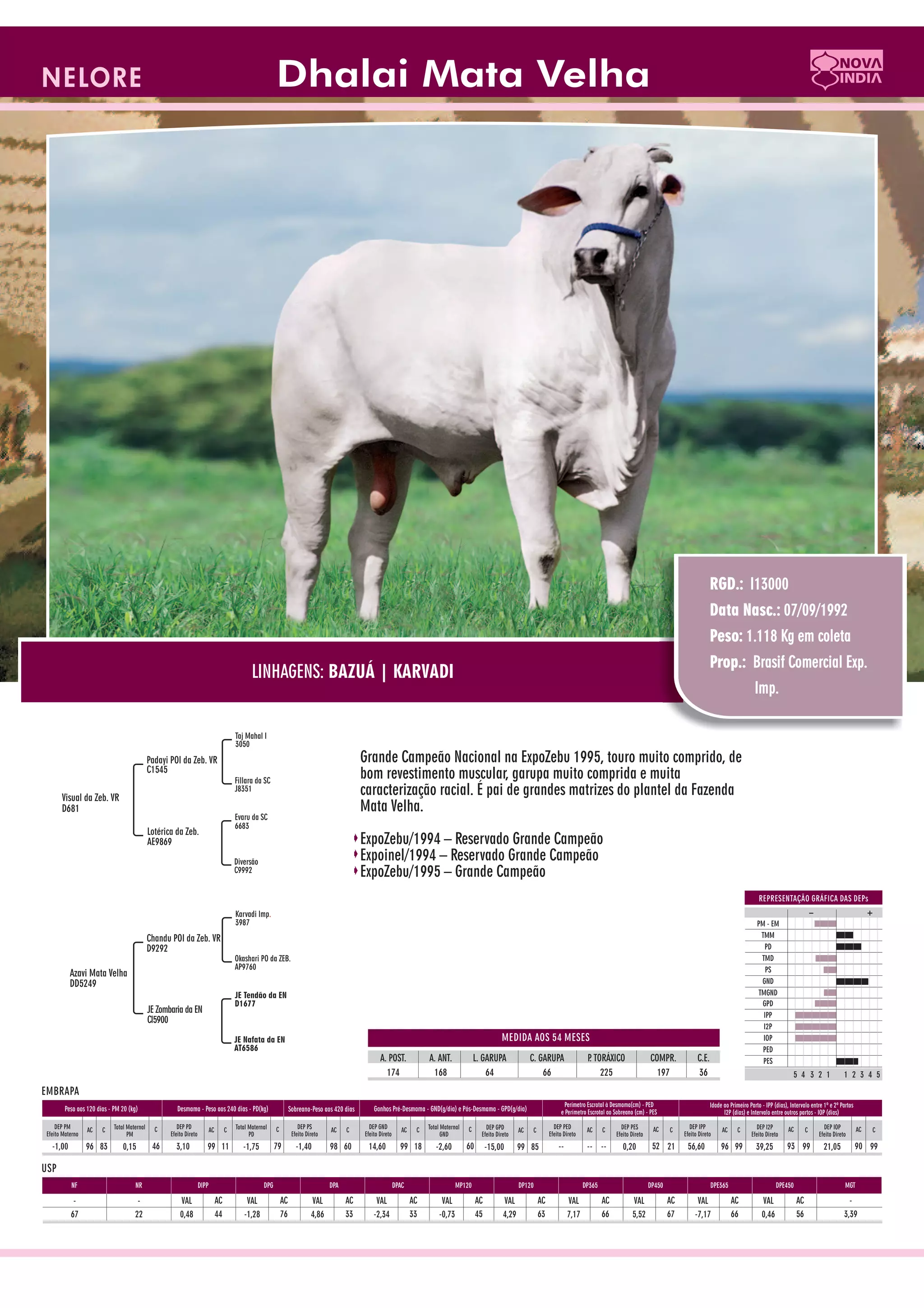 Catalogo de raçadores para corte 2009