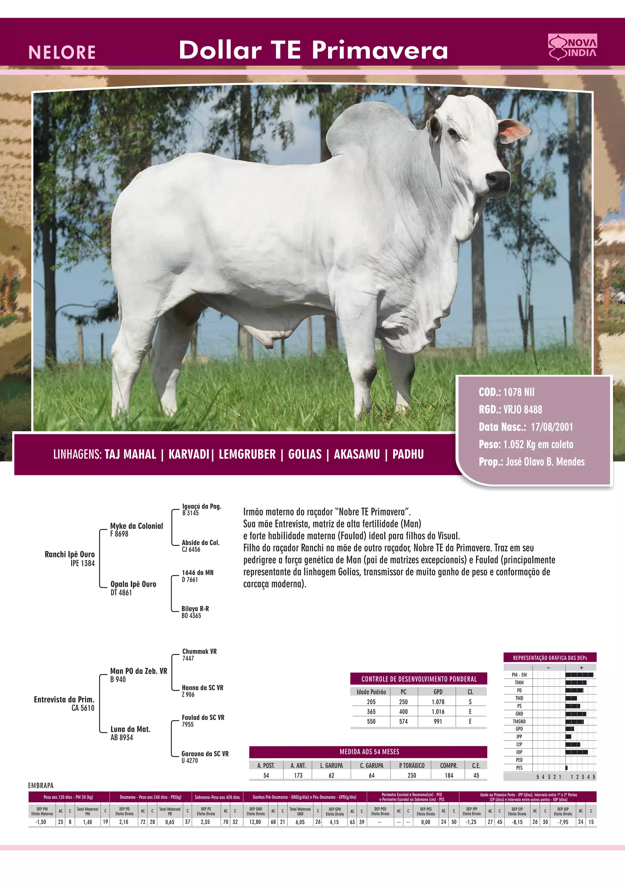 Catalogo de raçadores para corte 2009