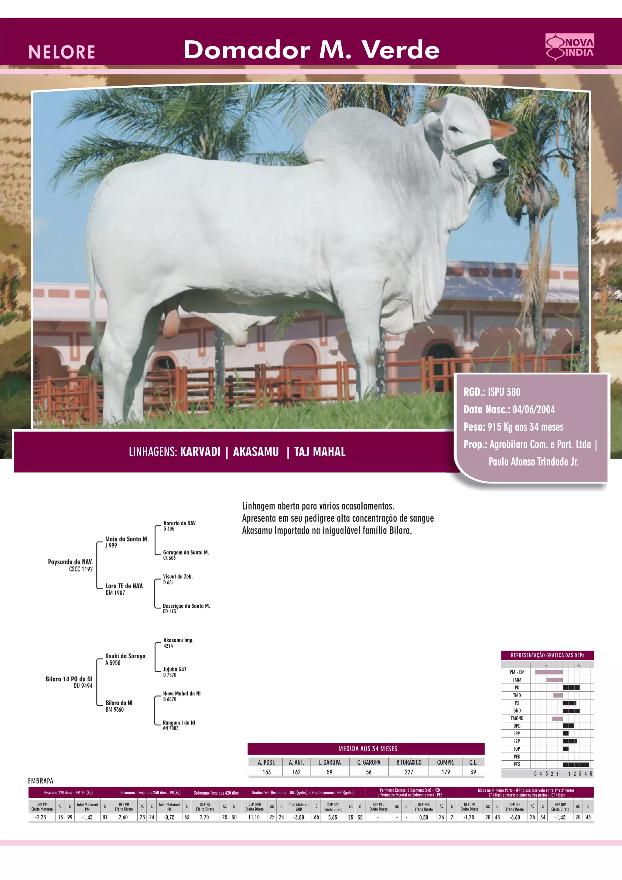 Catalogo de raçadores para corte 2009