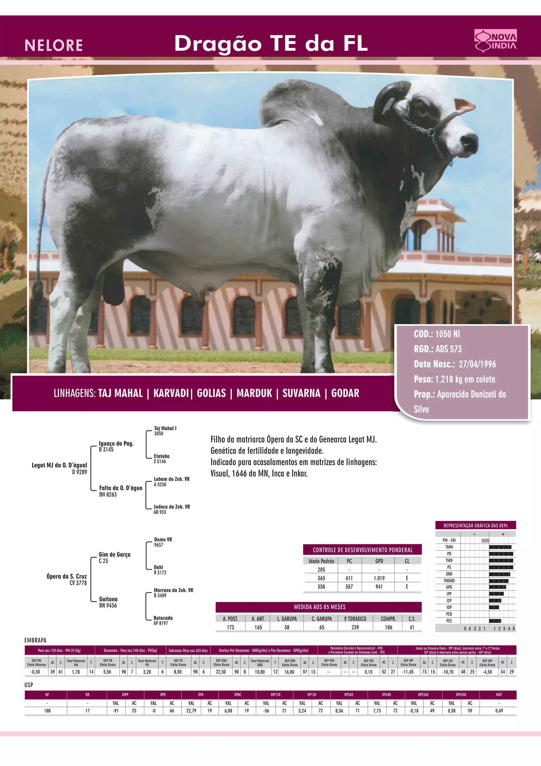 Catalogo de raçadores para corte 2009