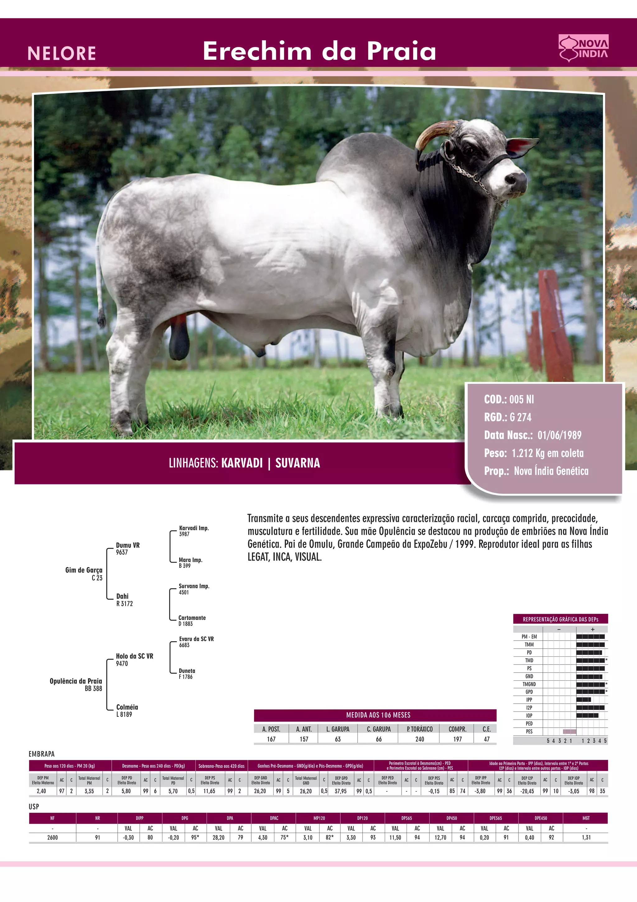 Catalogo de raçadores para corte 2009