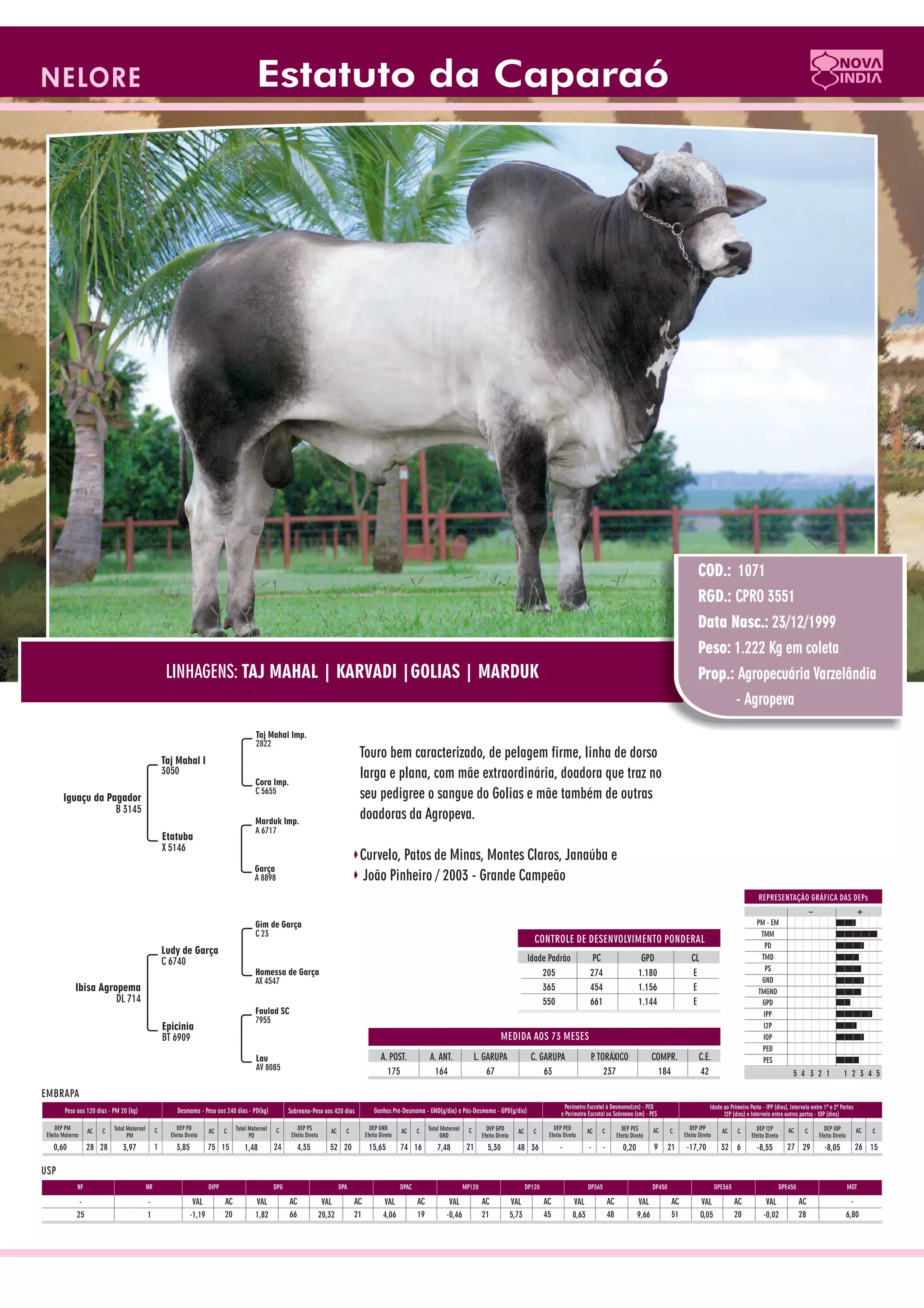 Catalogo de raçadores para corte 2009