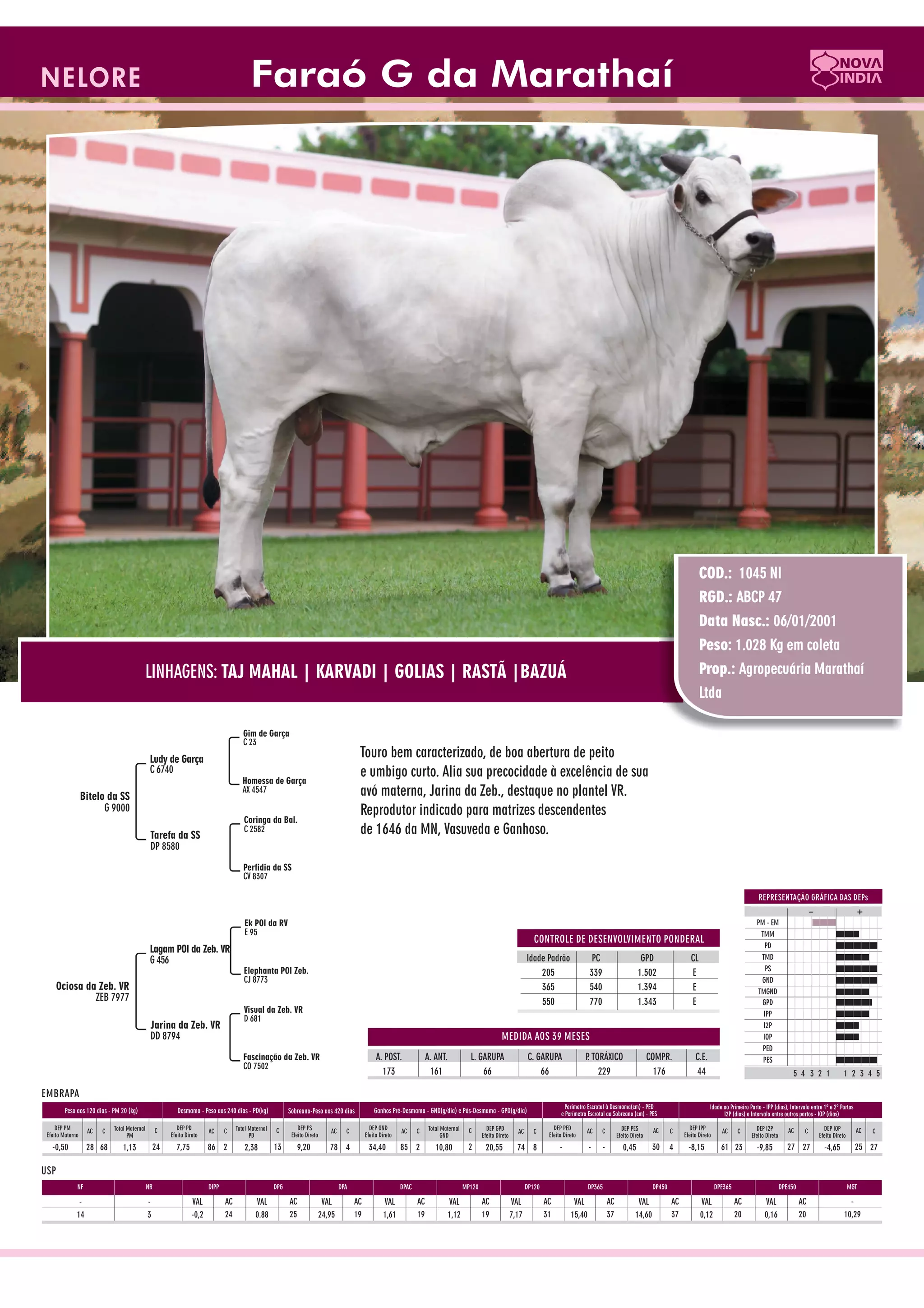 Catalogo de raçadores para corte 2009