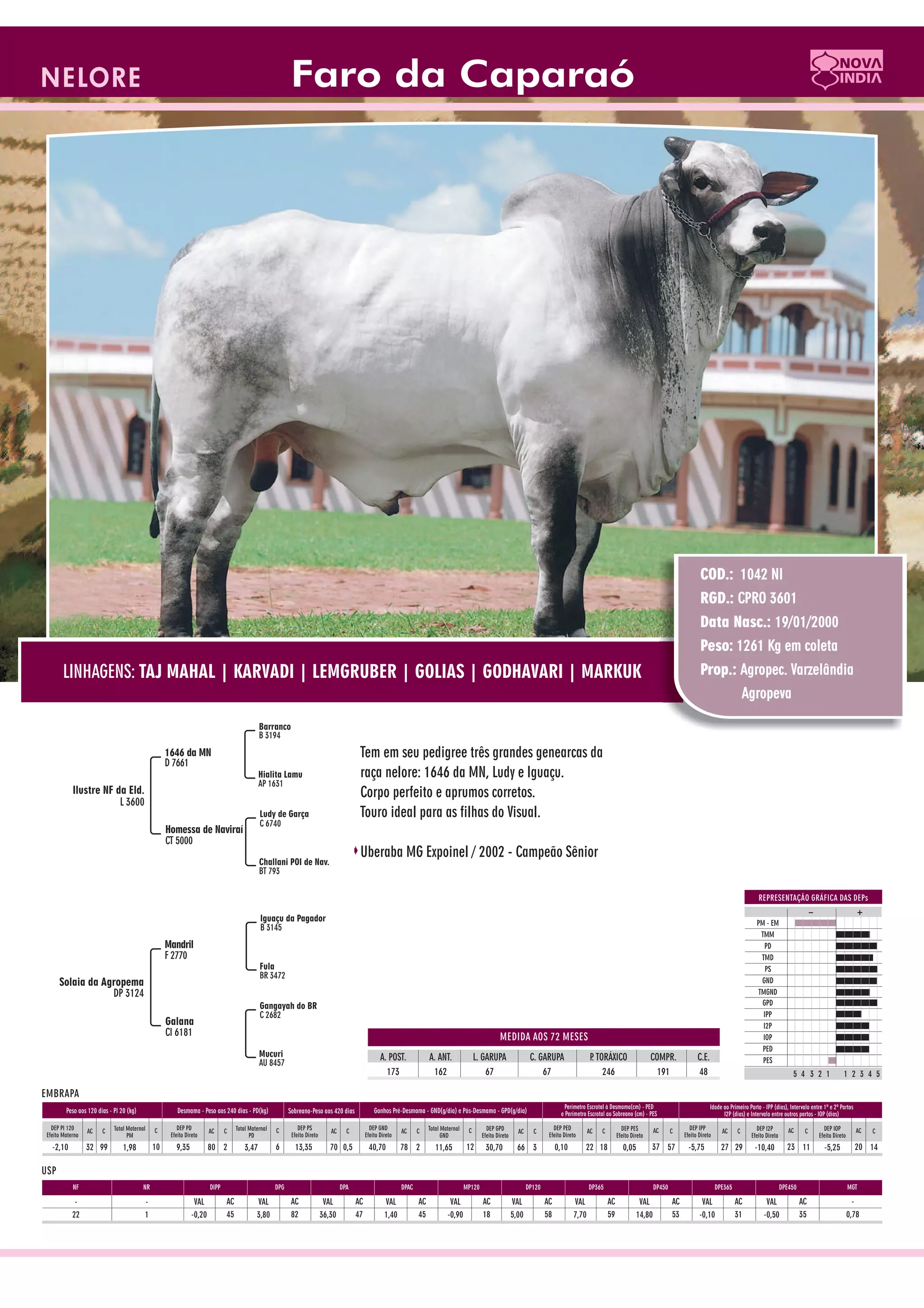 Catalogo de raçadores para corte 2009