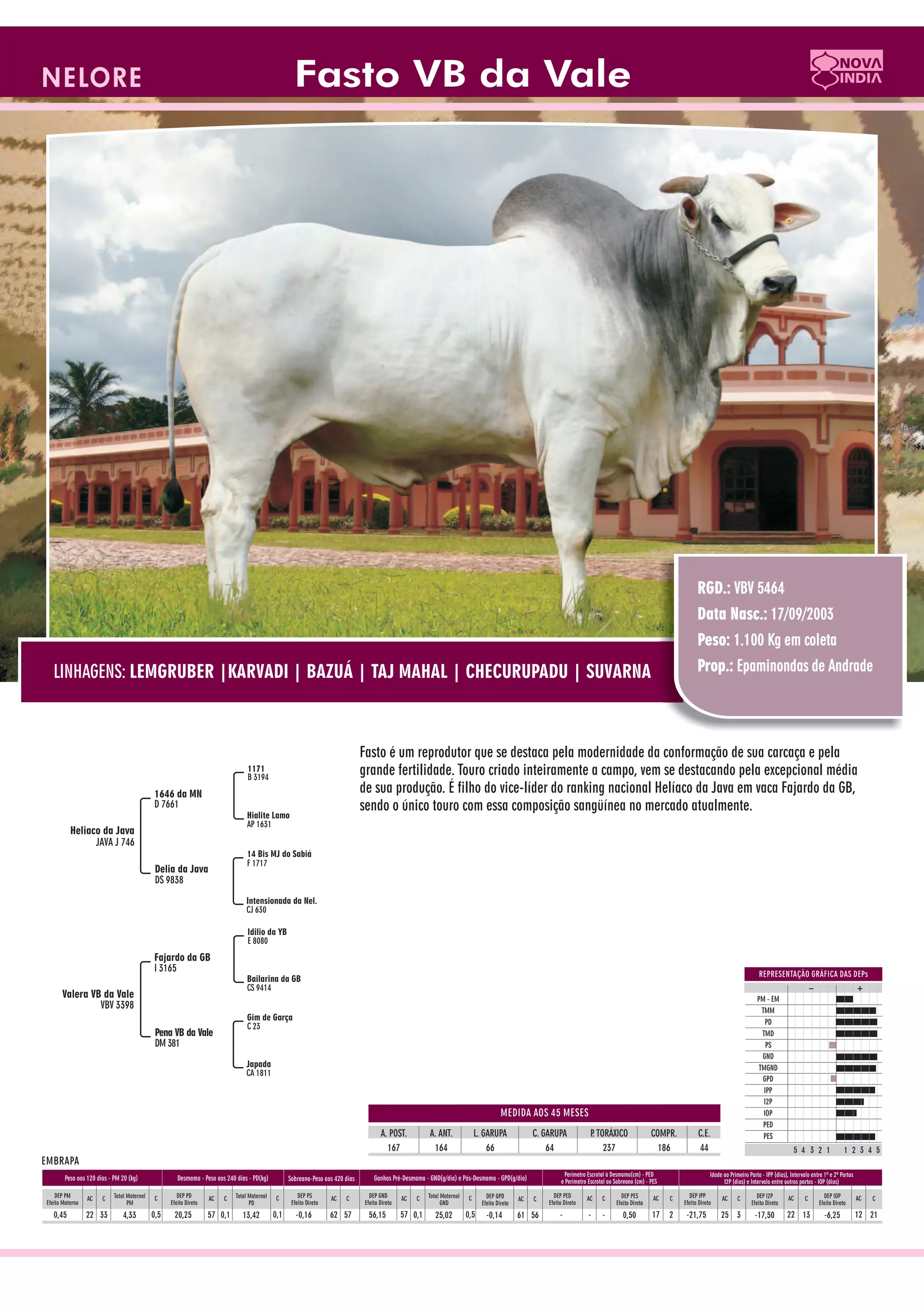 Catalogo de raçadores para corte 2009