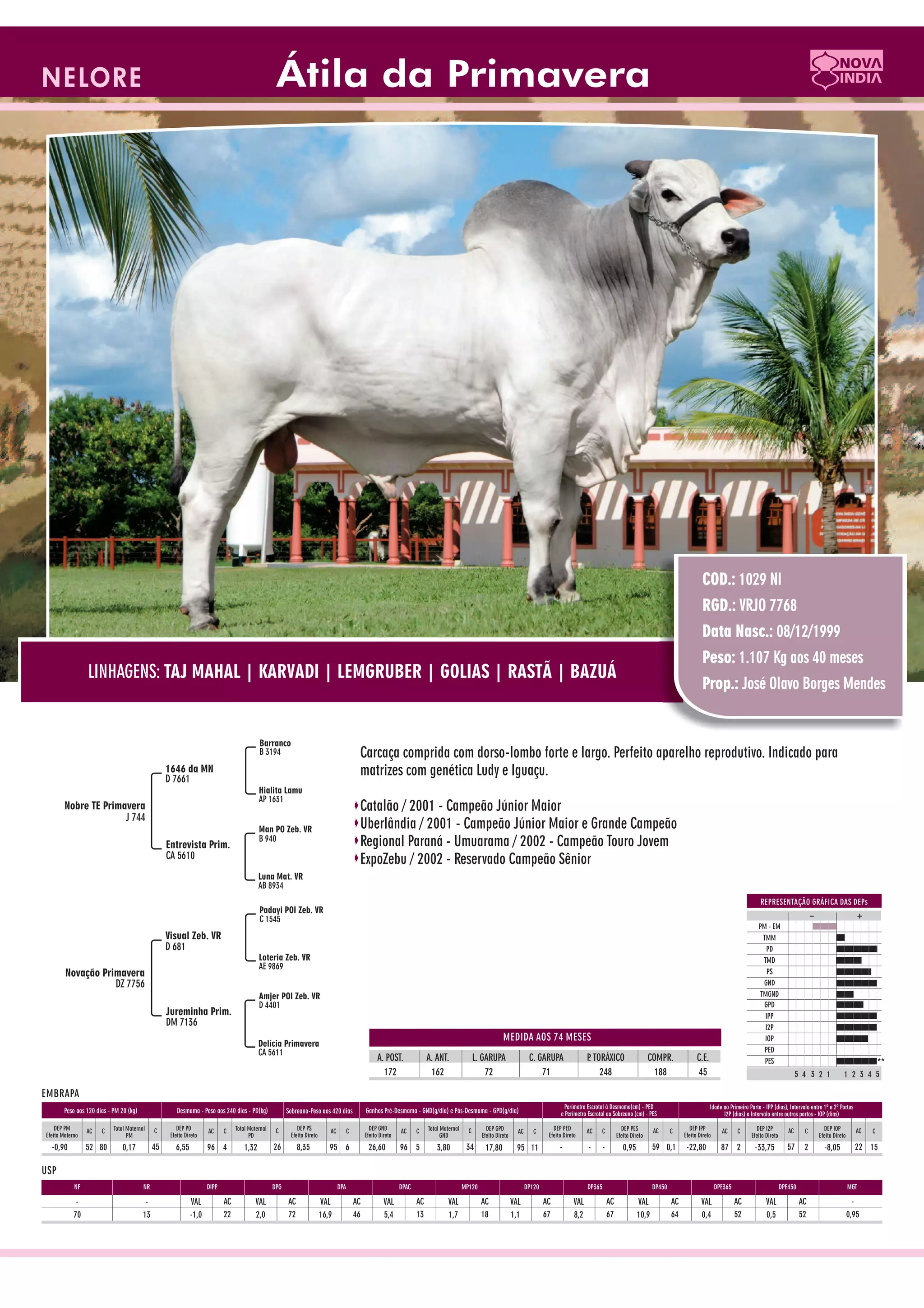 Catalogo de raçadores para corte 2009