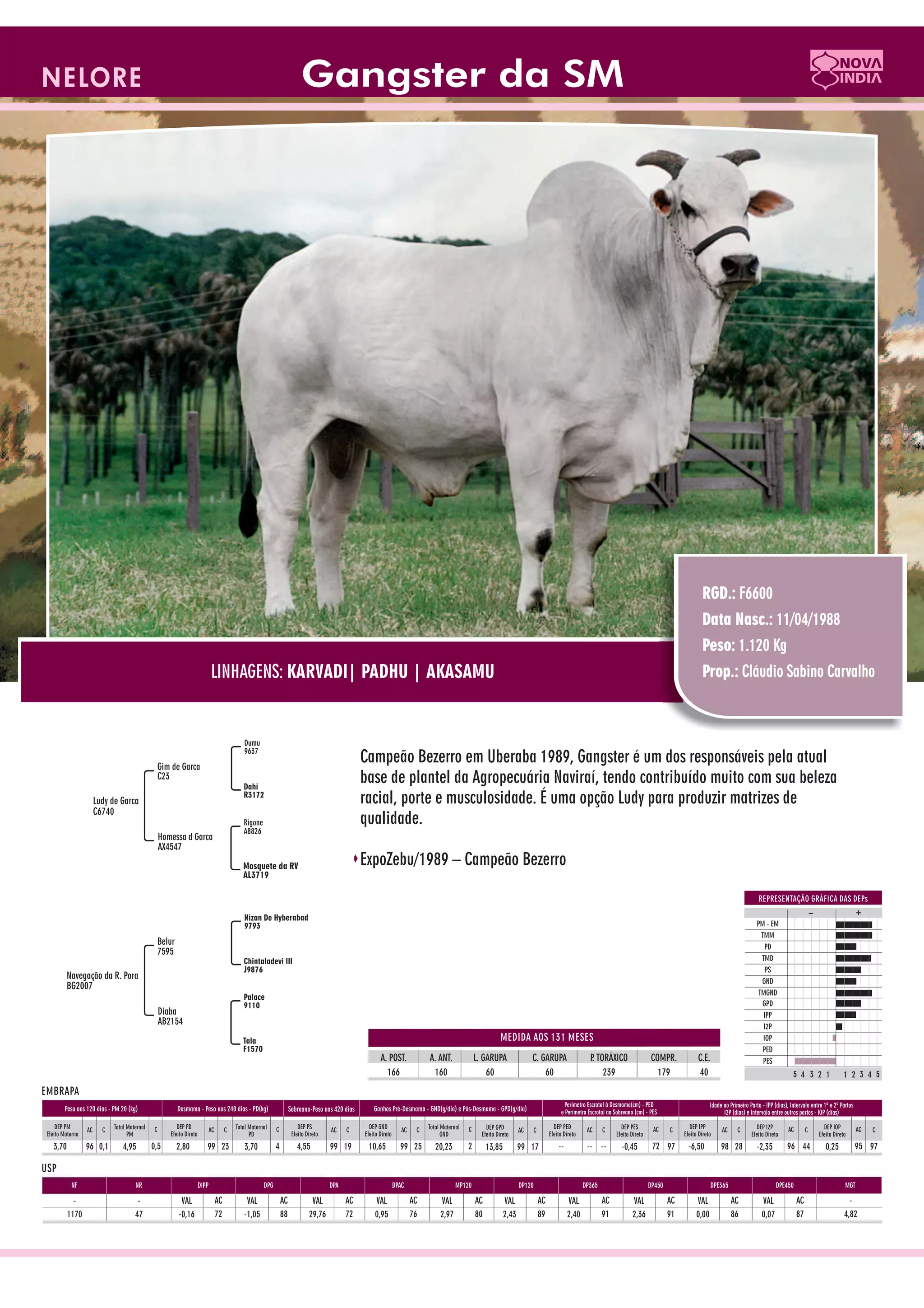 Catalogo de raçadores para corte 2009