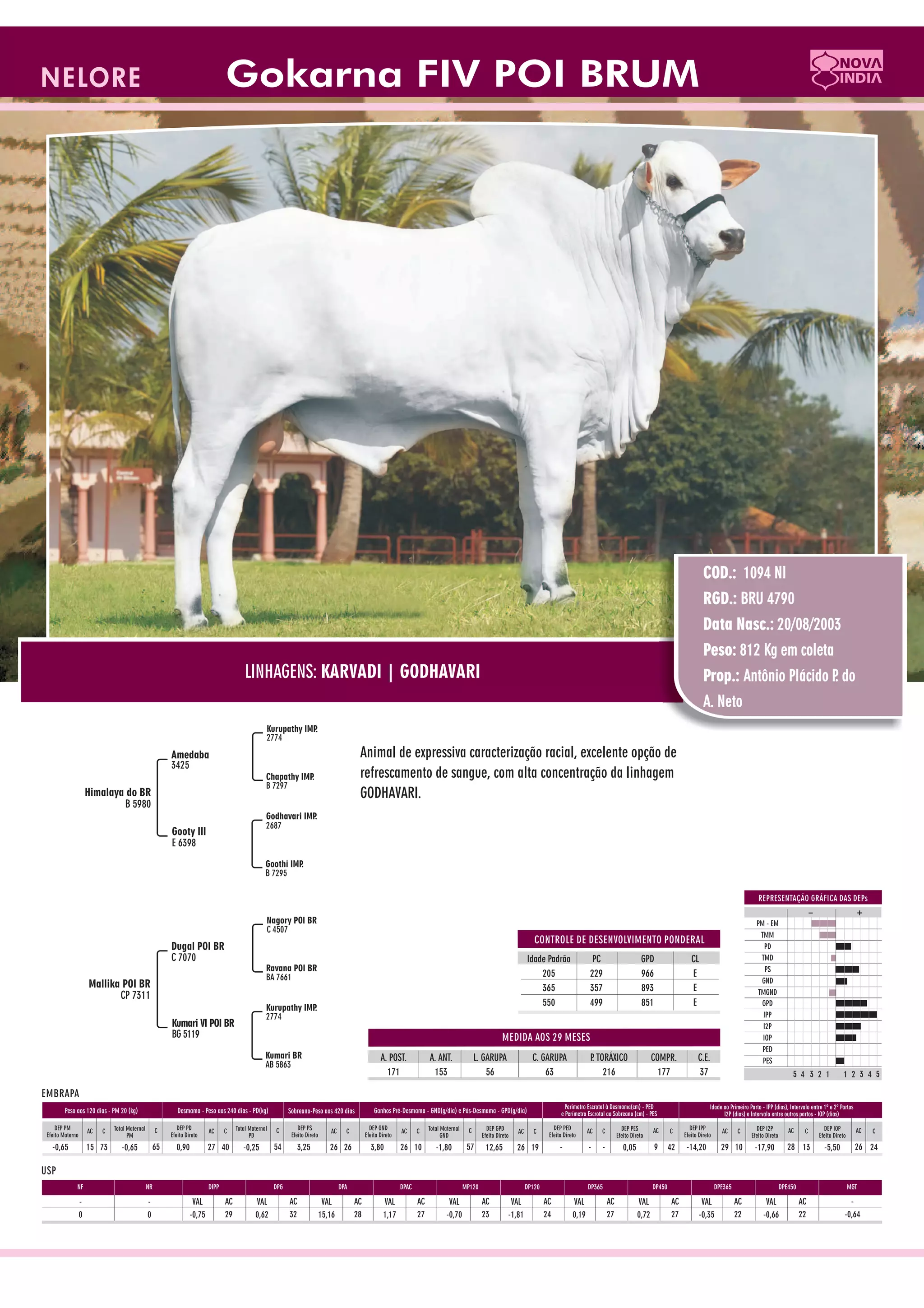 Catalogo de raçadores para corte 2009