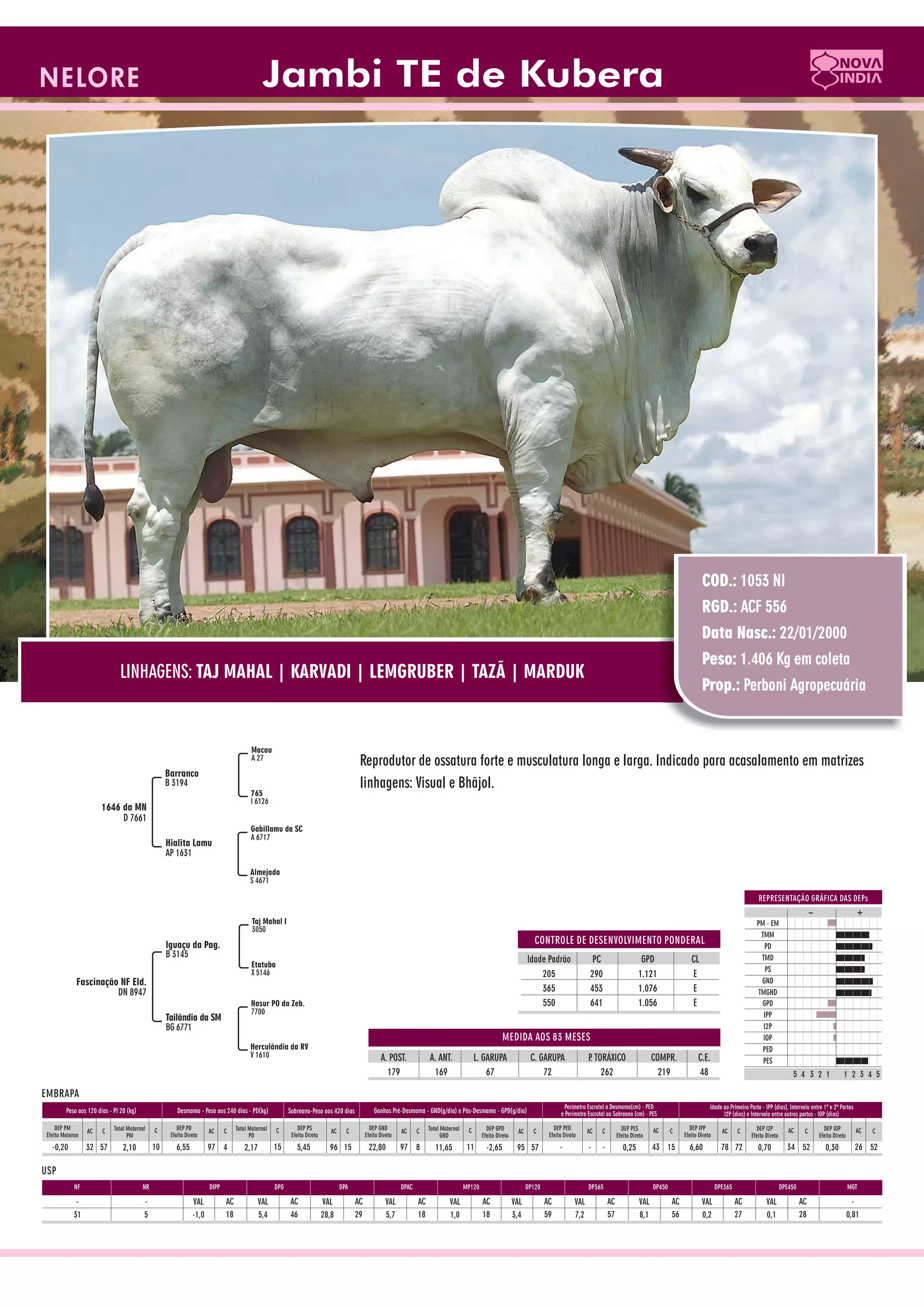 Catalogo de raçadores para corte 2009