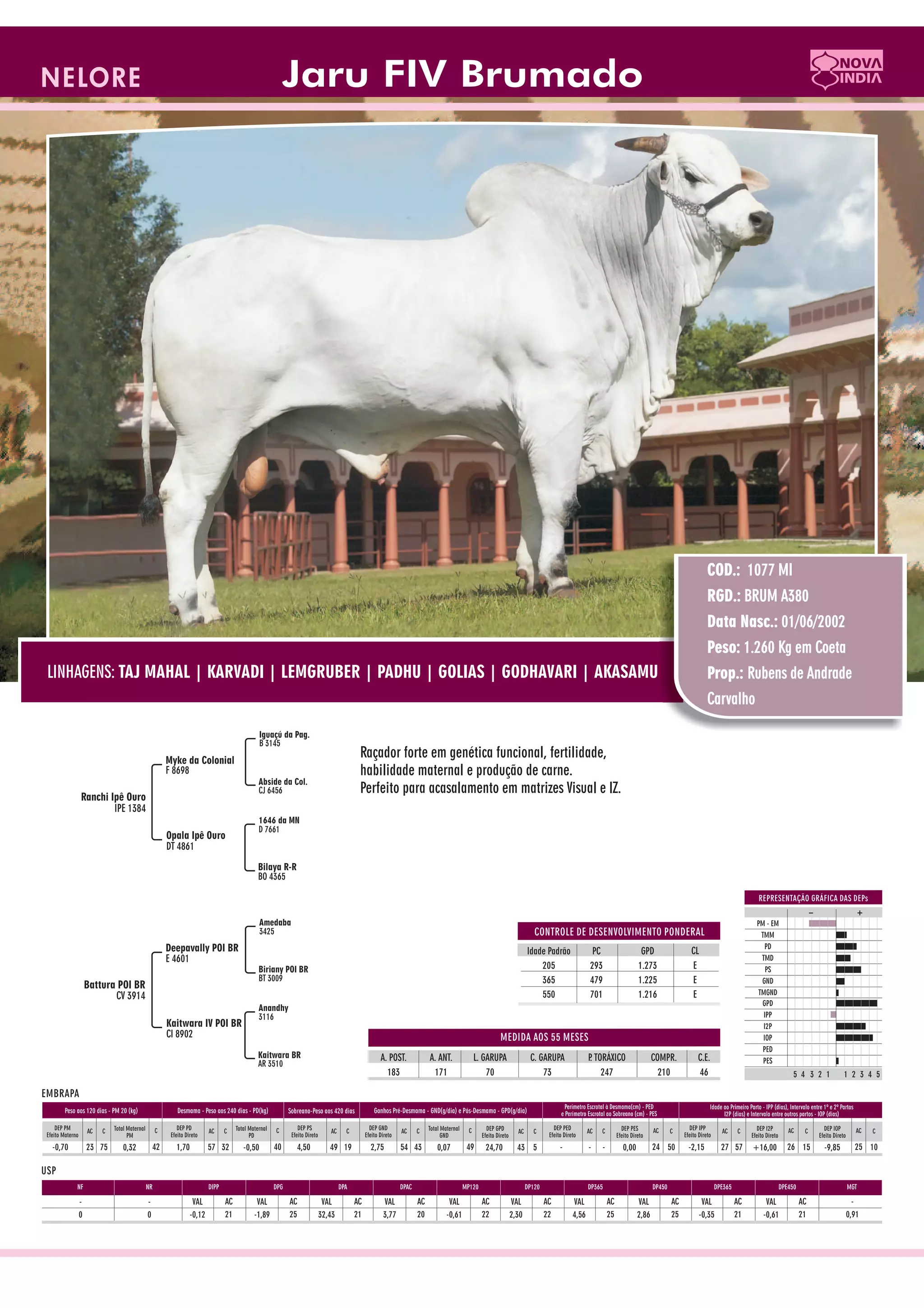 Catalogo de raçadores para corte 2009