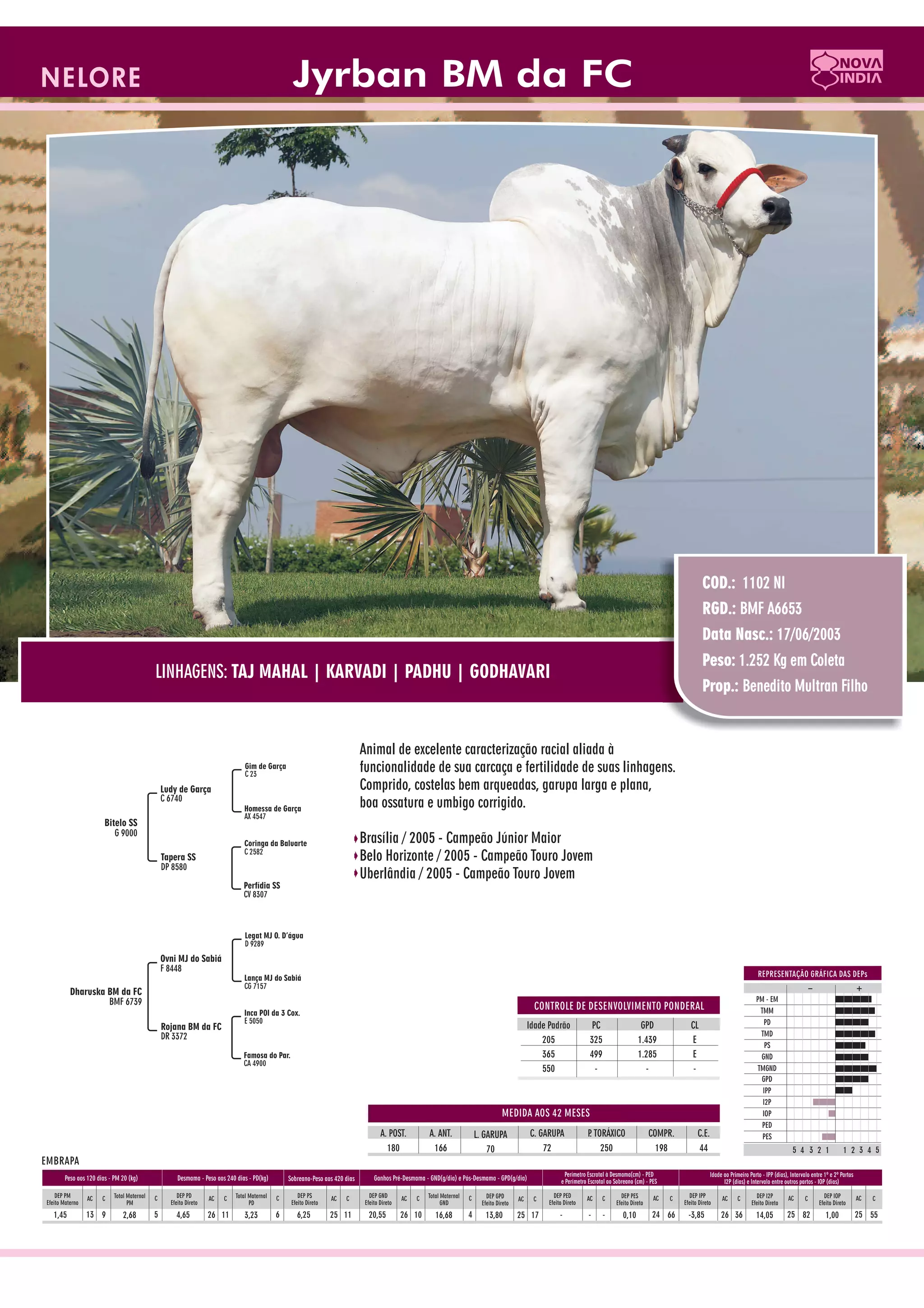 Catalogo de raçadores para corte 2009