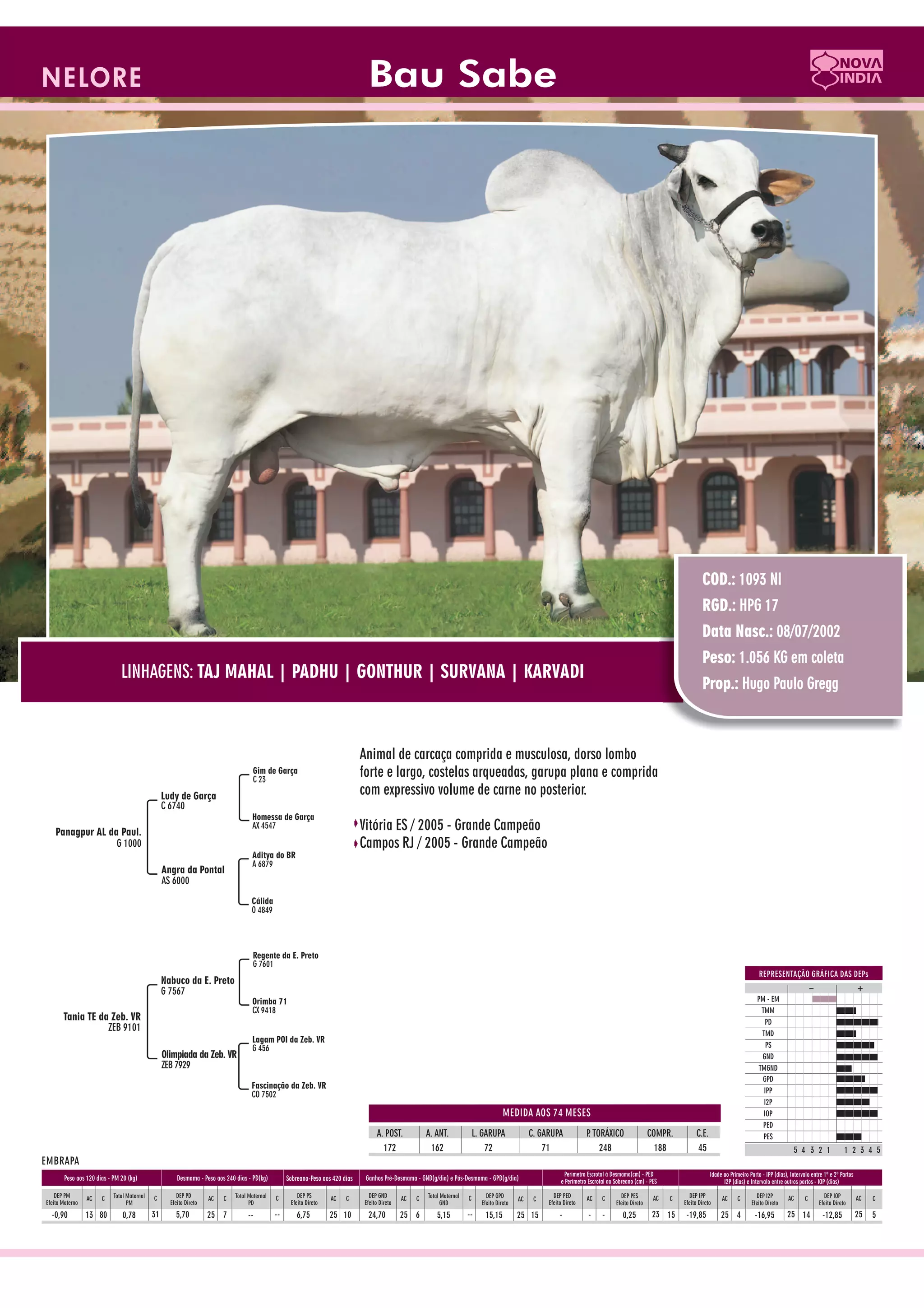 Catalogo de raçadores para corte 2009