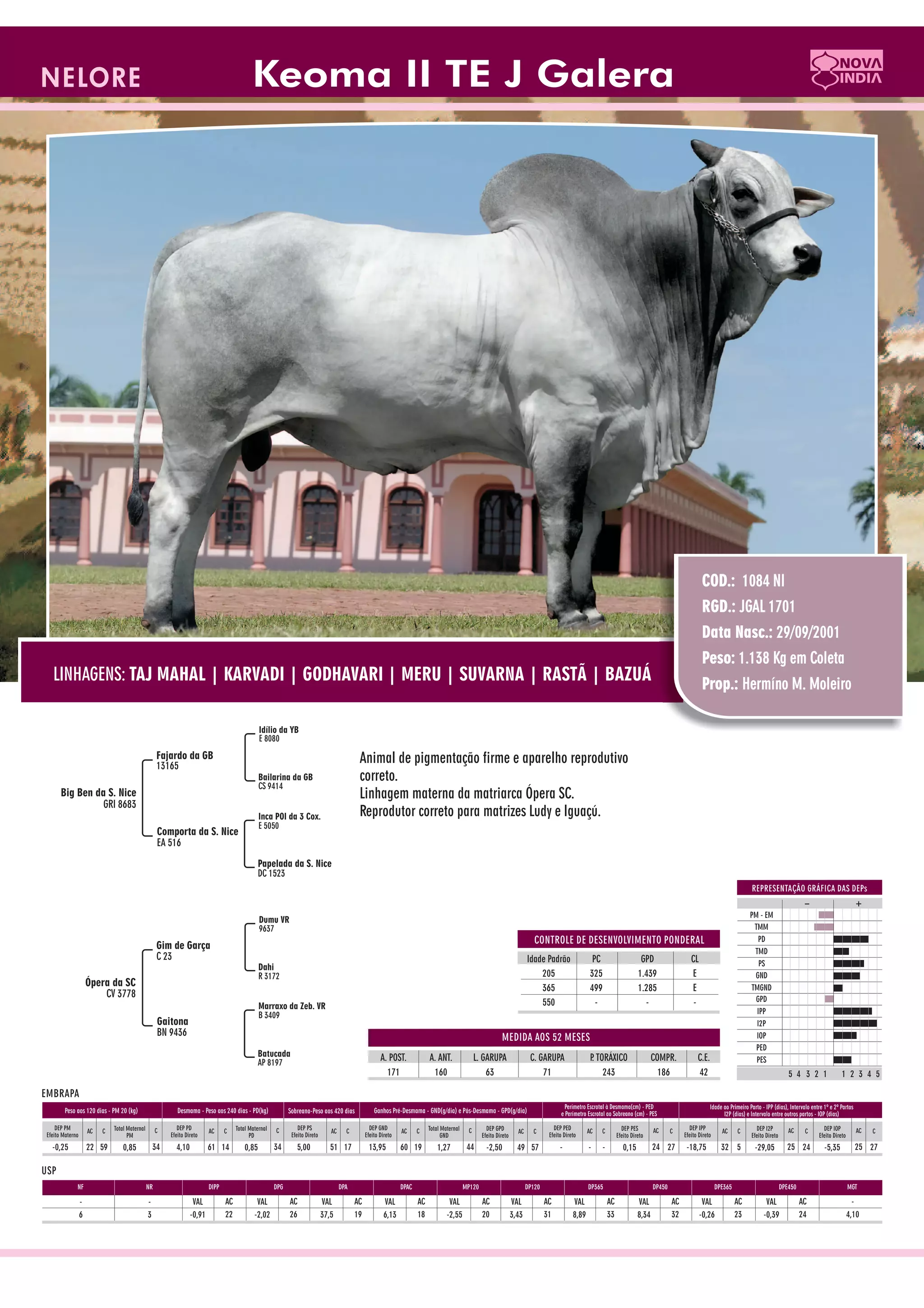 Catalogo de raçadores para corte 2009