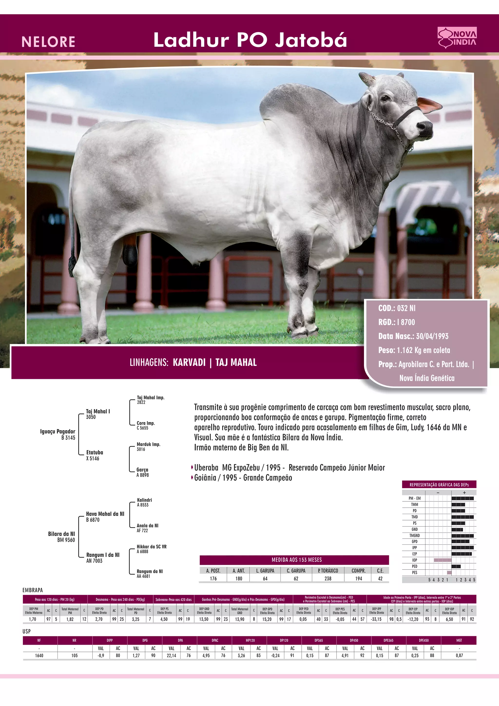 Catalogo de raçadores para corte 2009