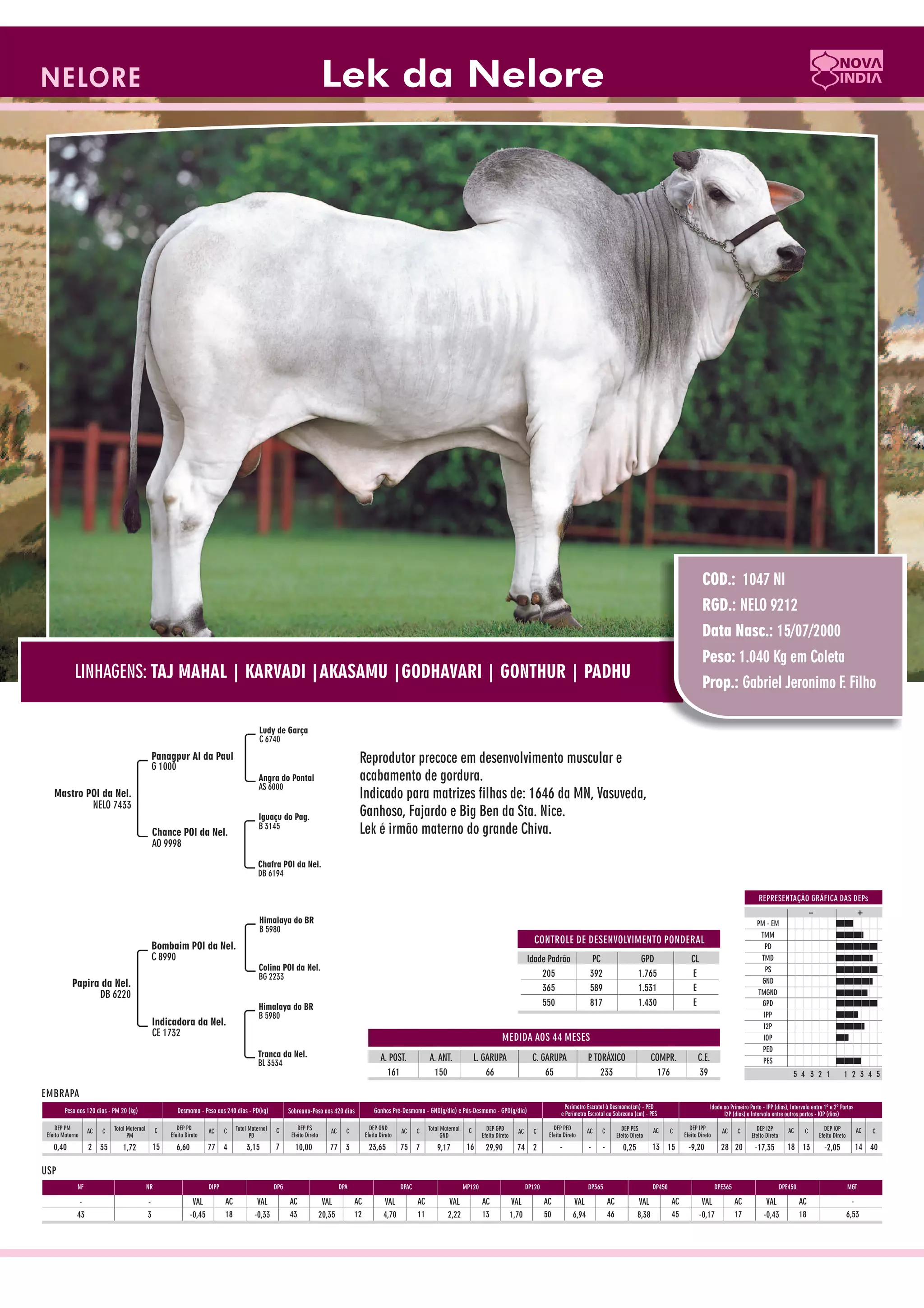 Catalogo de raçadores para corte 2009