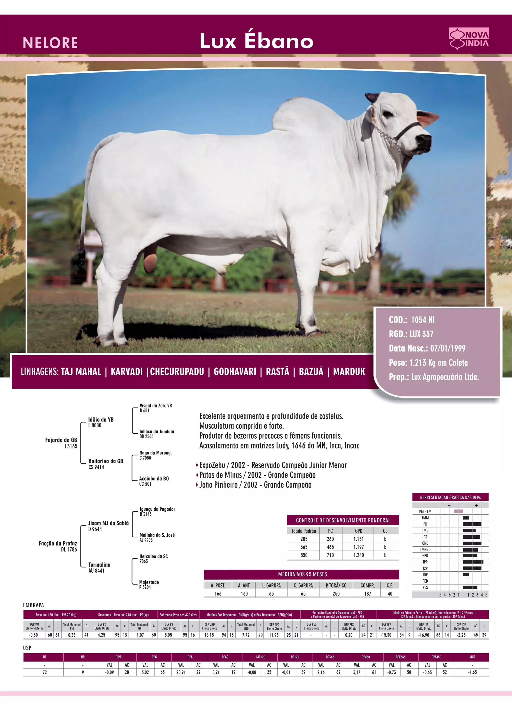 Catalogo de raçadores para corte 2009