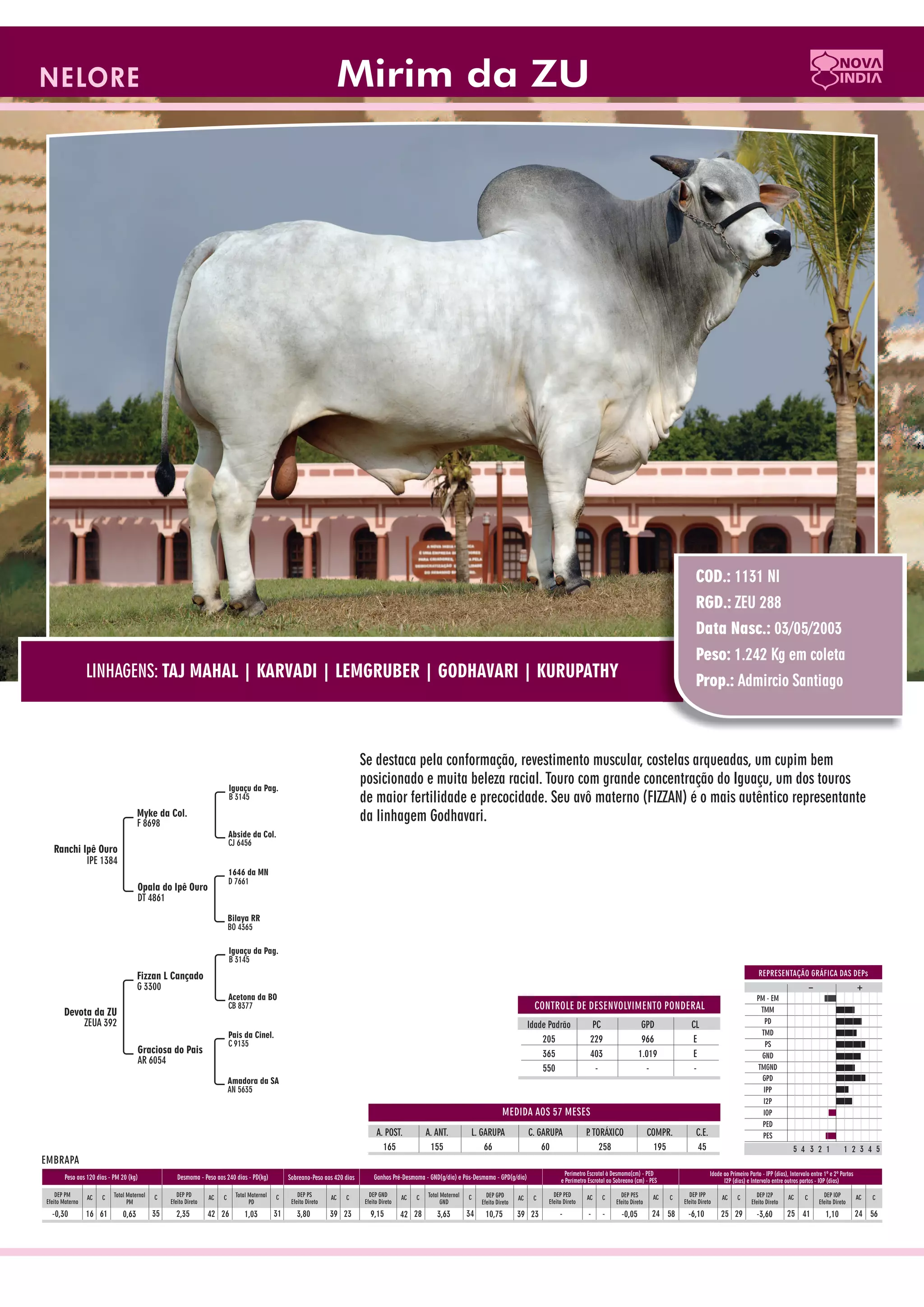 Catalogo de raçadores para corte 2009