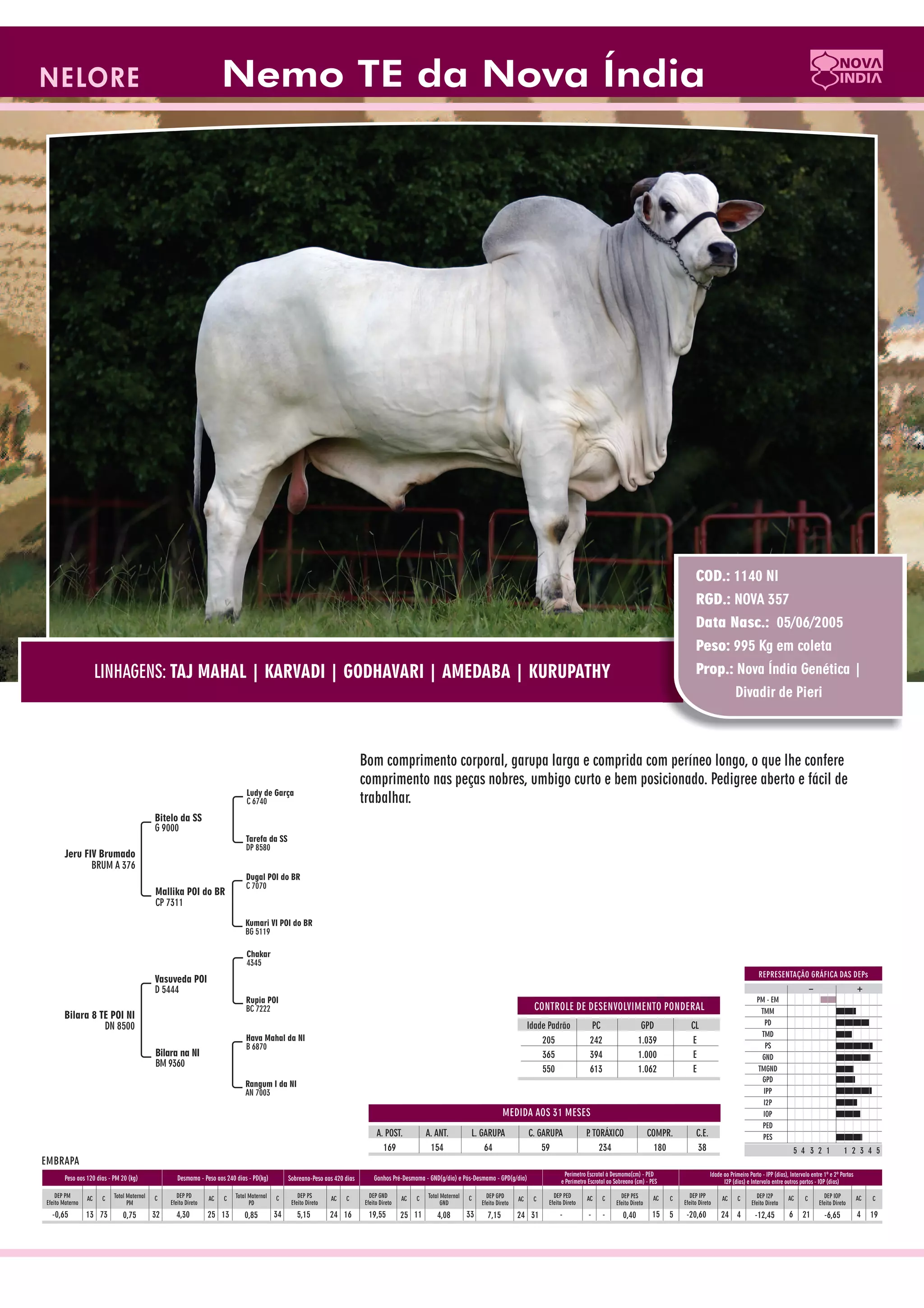 Catalogo de raçadores para corte 2009