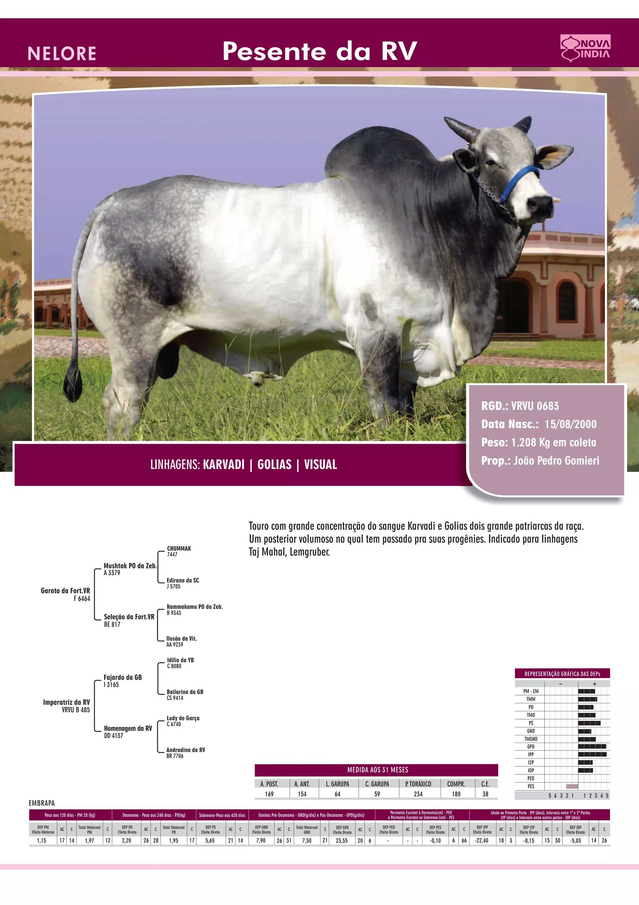 Catalogo de raçadores para corte 2009