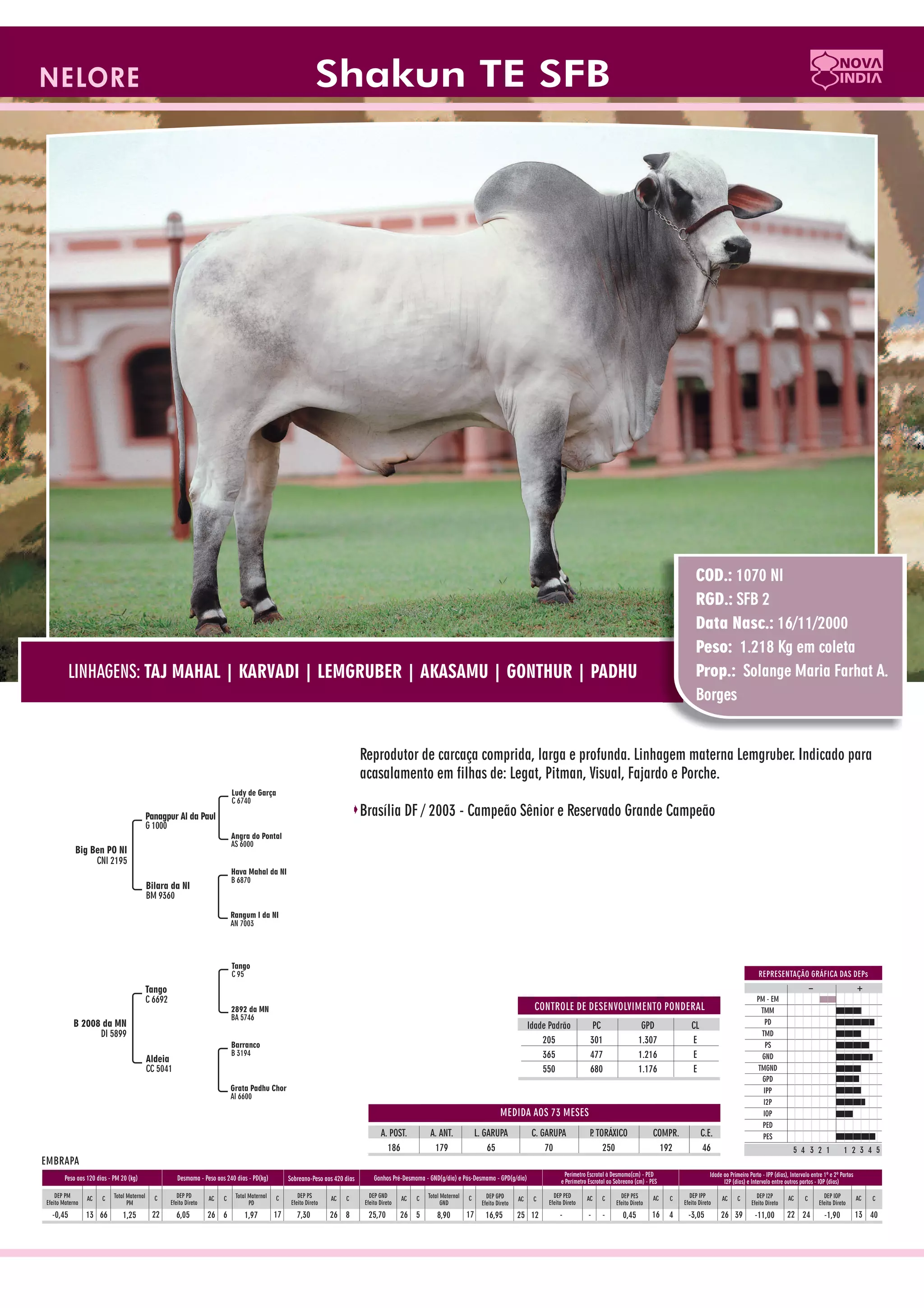 Catalogo de raçadores para corte 2009