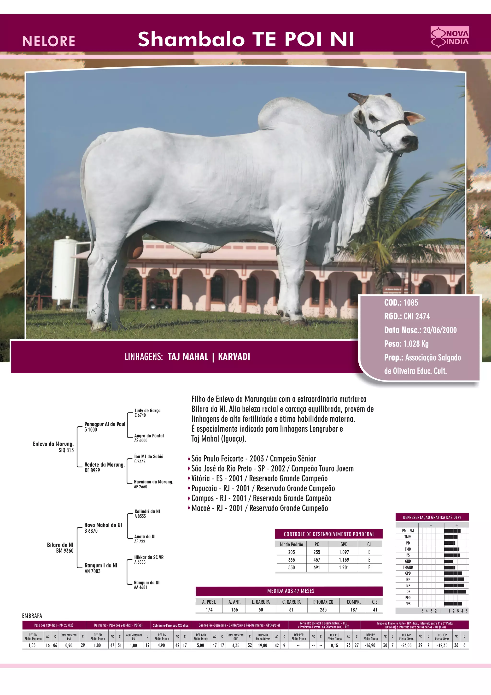 Catalogo de raçadores para corte 2009