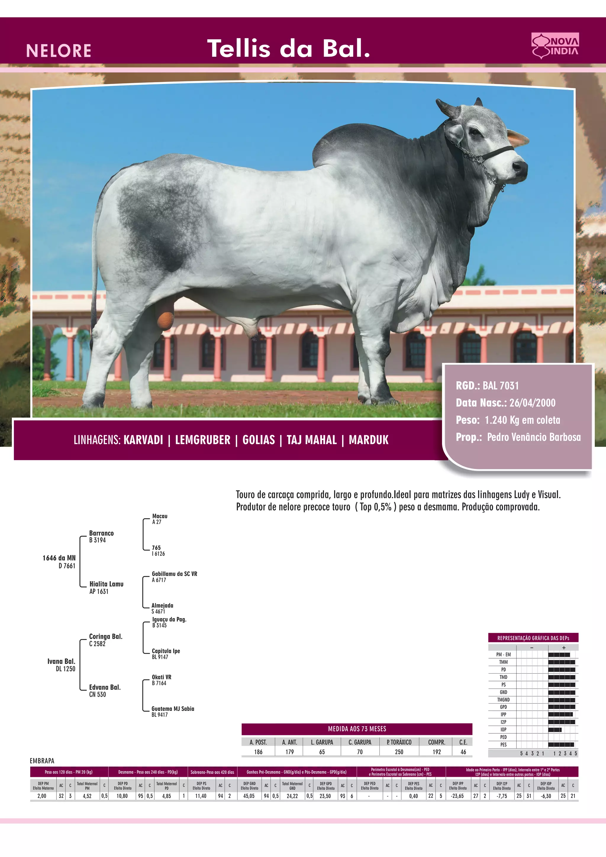 Catalogo de raçadores para corte 2009