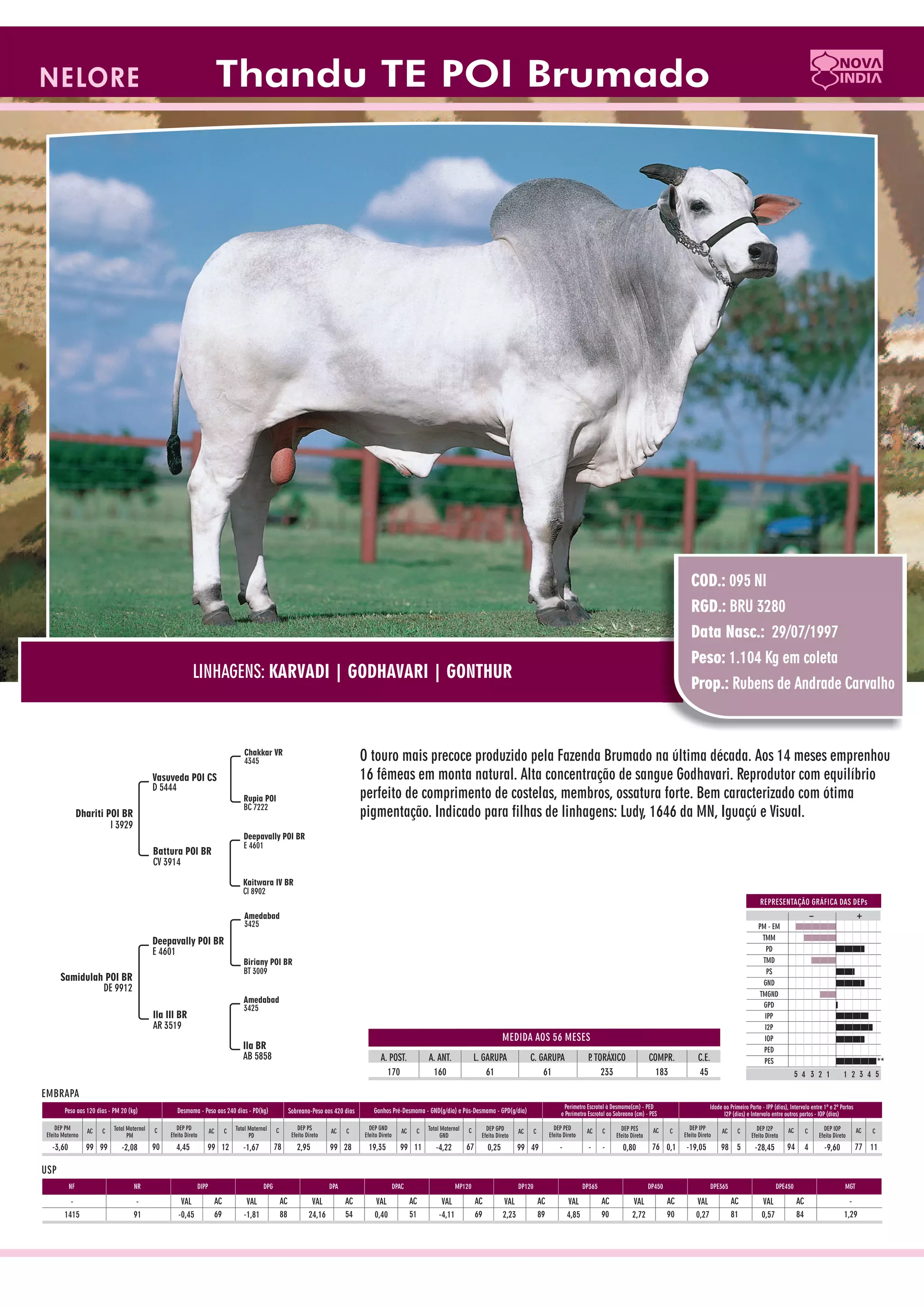 Catalogo de raçadores para corte 2009