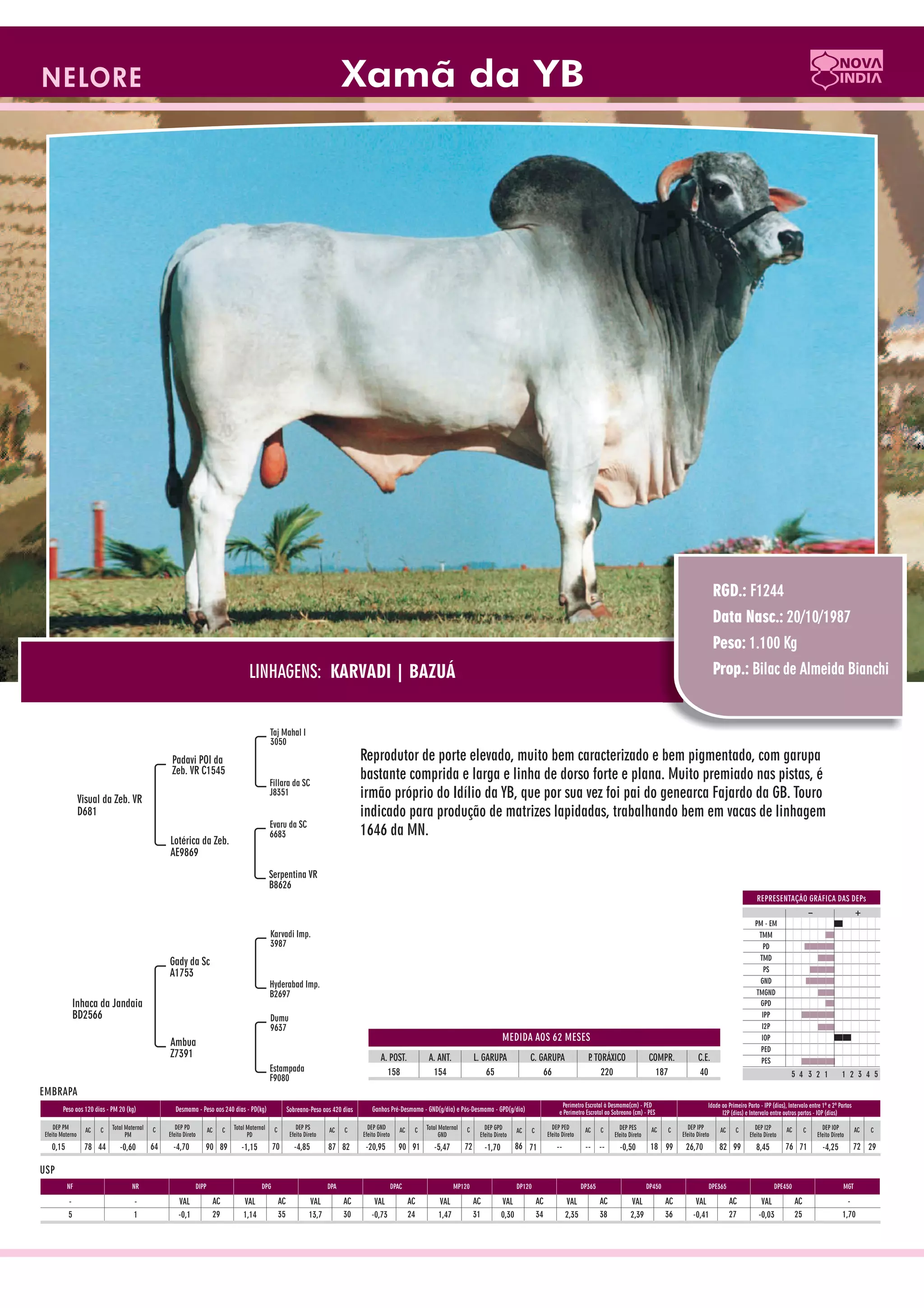 Catalogo de raçadores para corte 2009