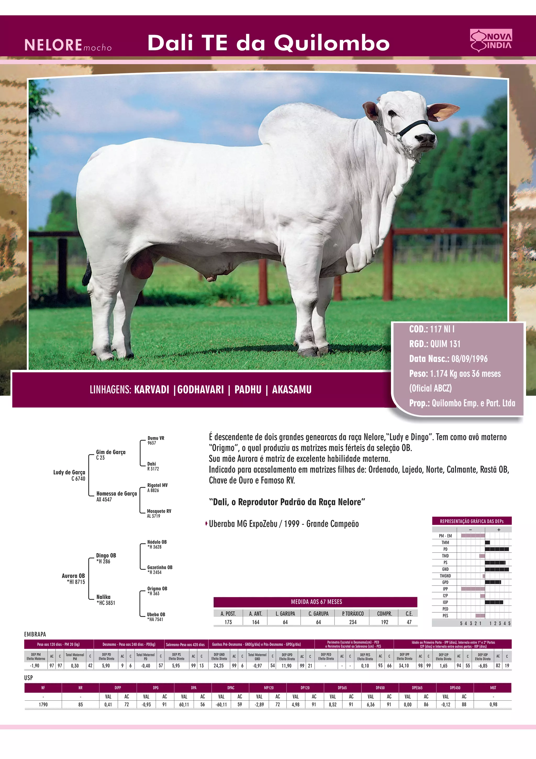 Catalogo de raçadores para corte 2009