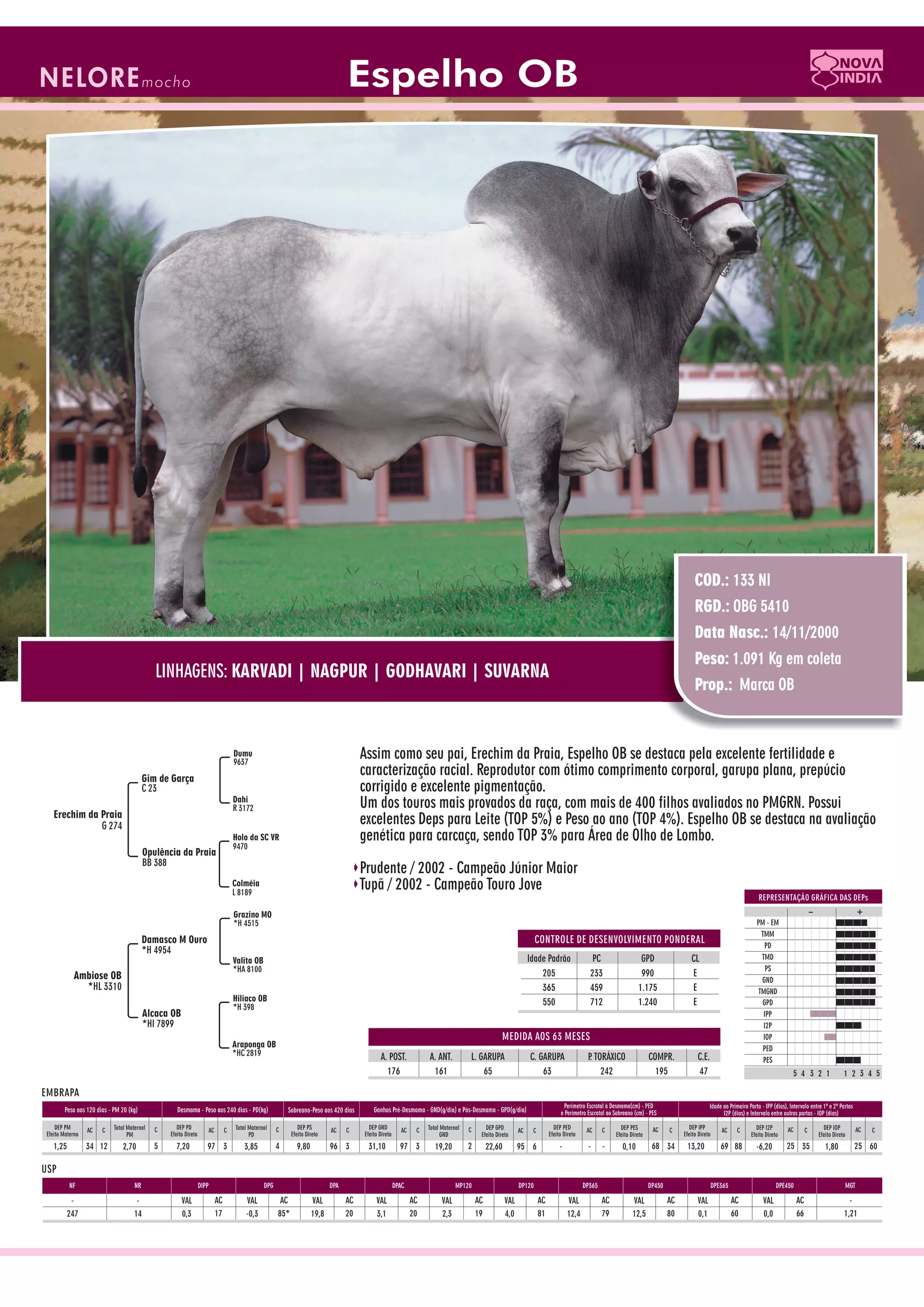 Catalogo de raçadores para corte 2009