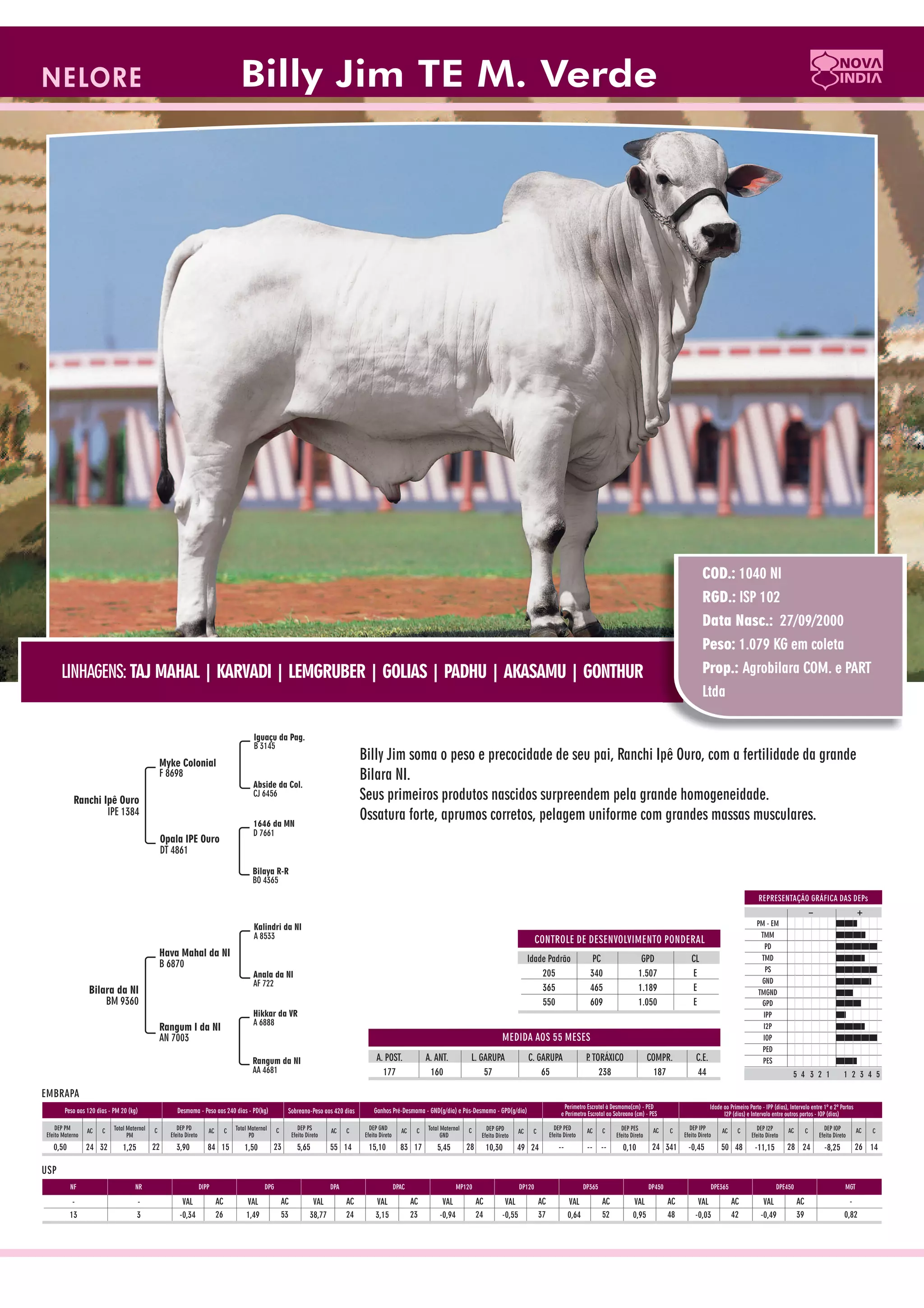 Catalogo de raçadores para corte 2009