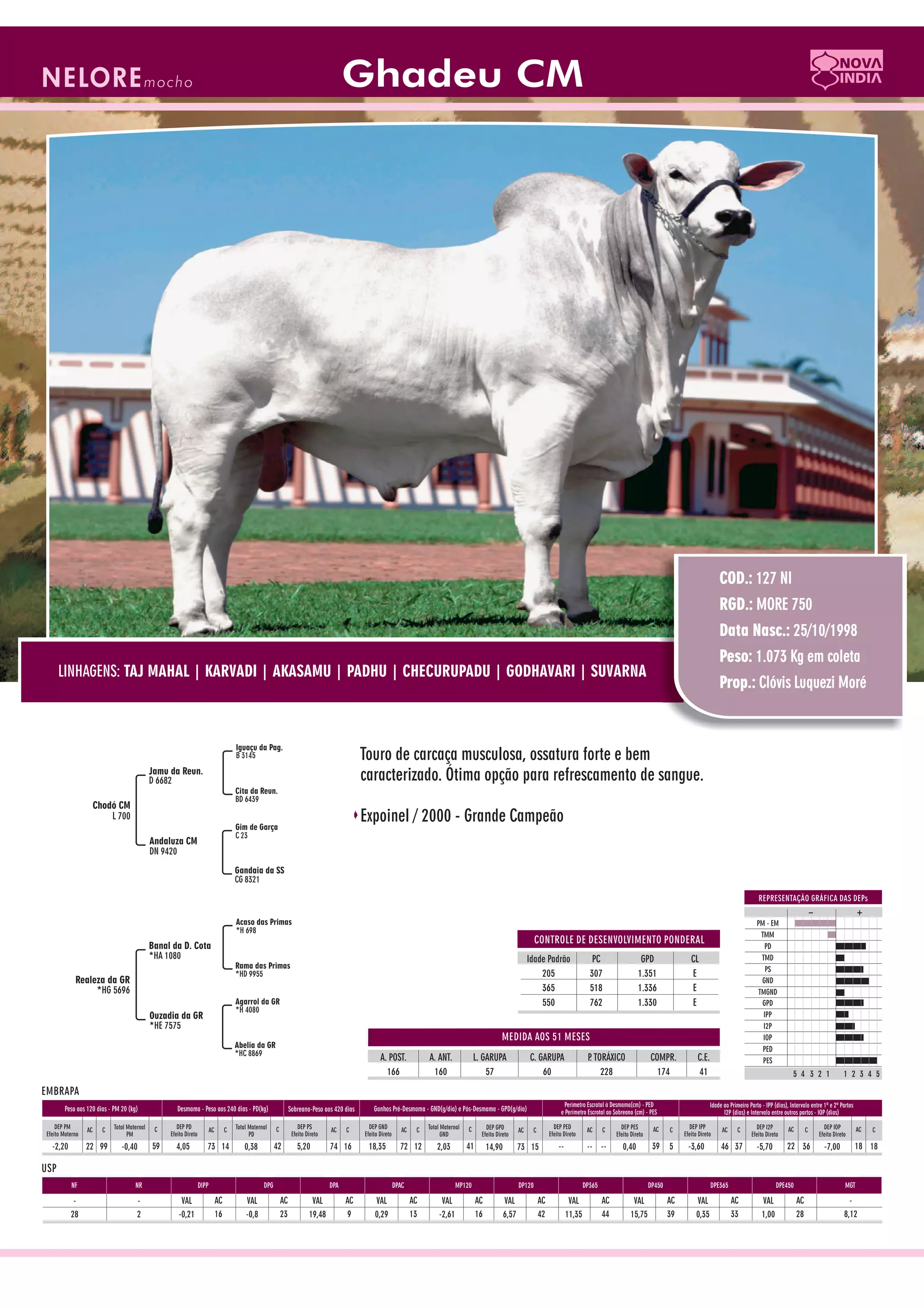 Catalogo de raçadores para corte 2009