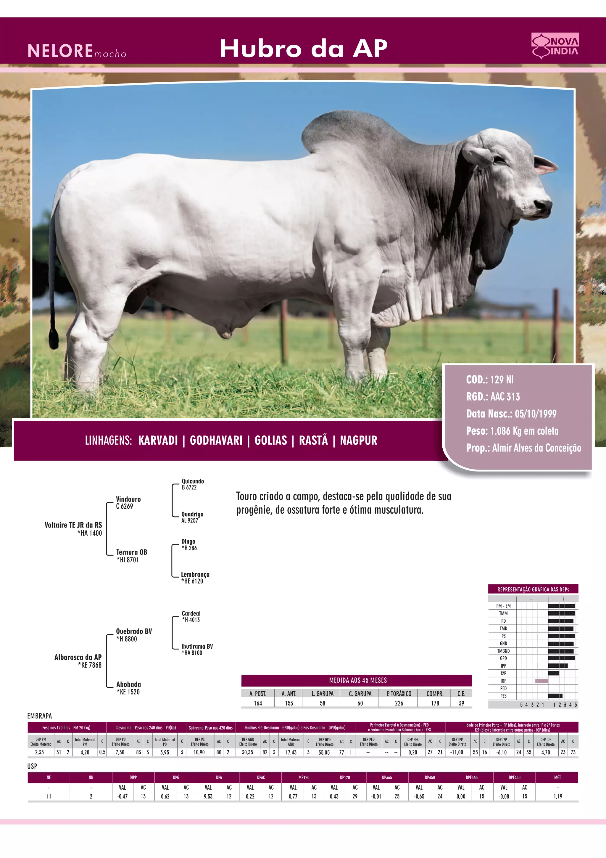 Catalogo de raçadores para corte 2009