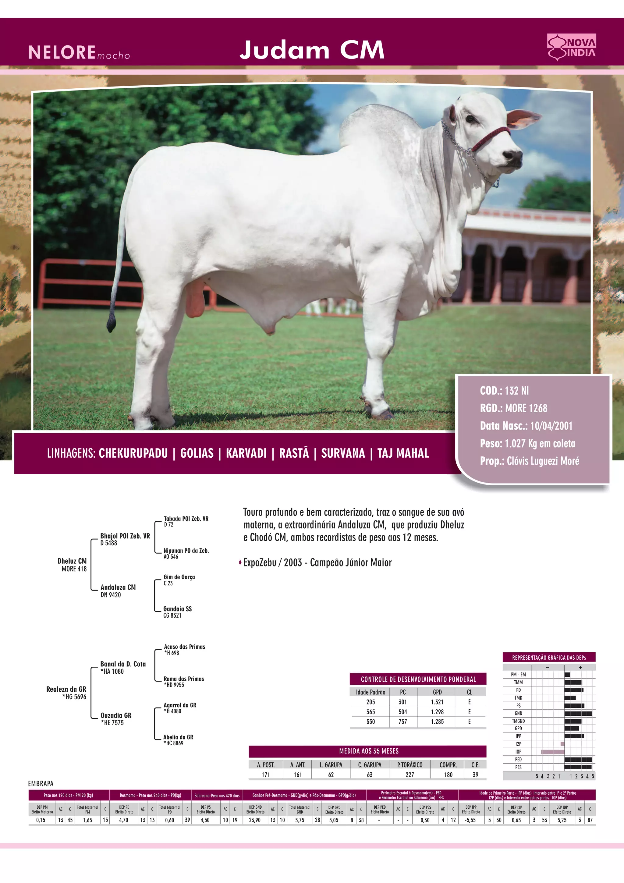 Catalogo de raçadores para corte 2009