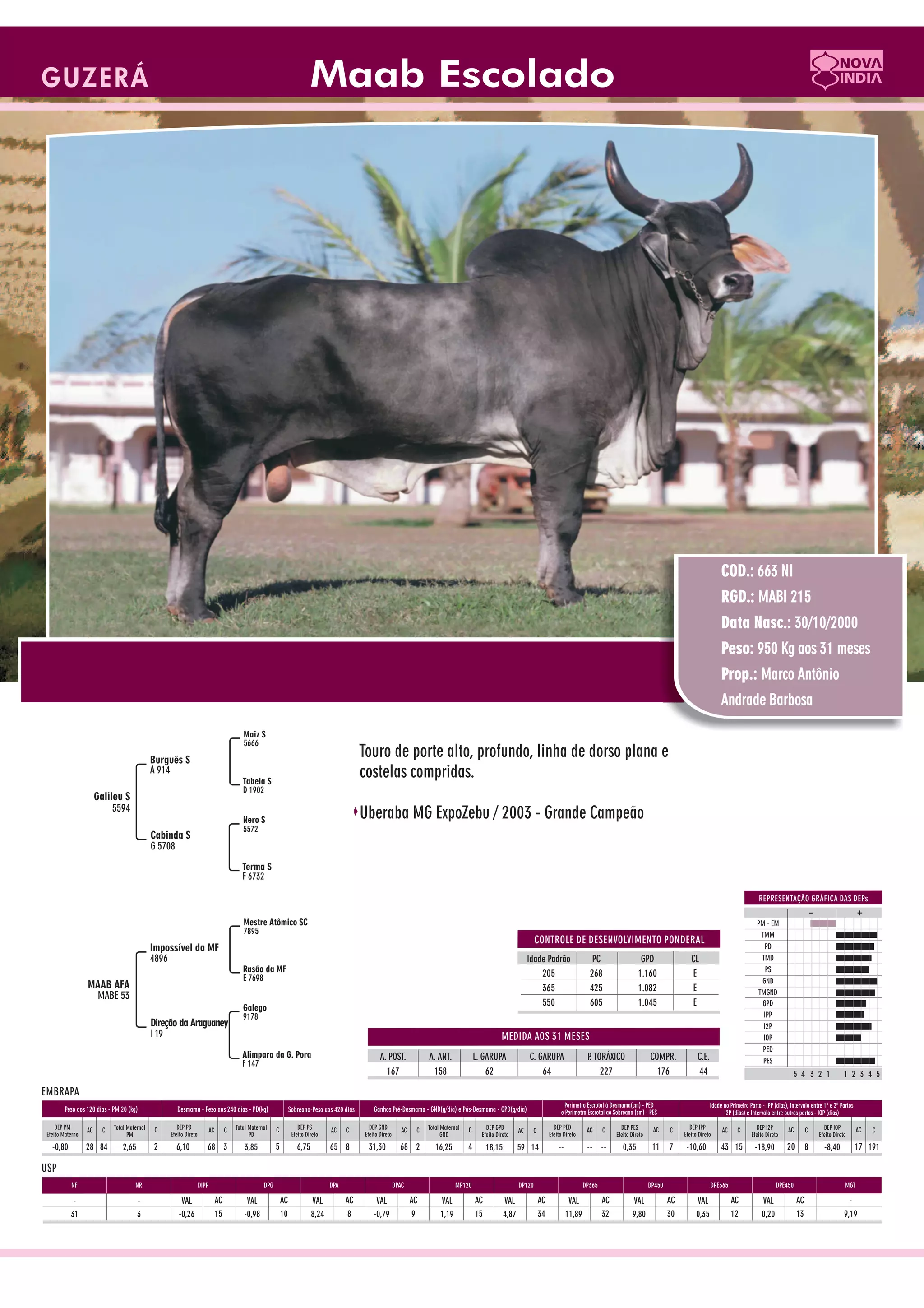 Catalogo de raçadores para corte 2009